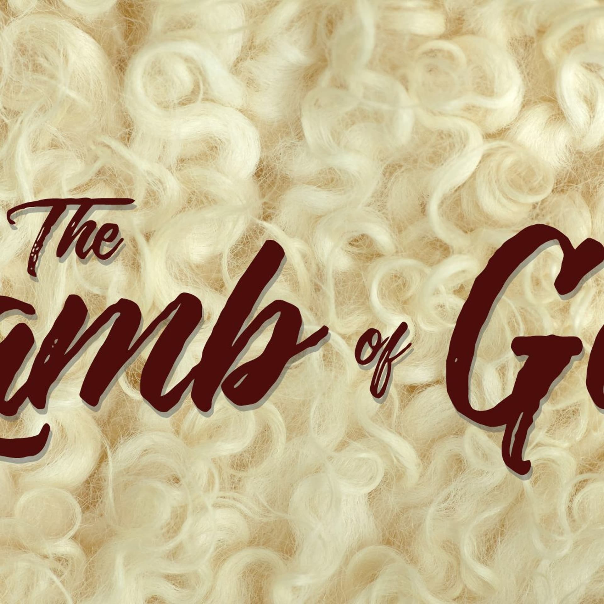 The Lamb of God - Chapel Roswell Messages cover