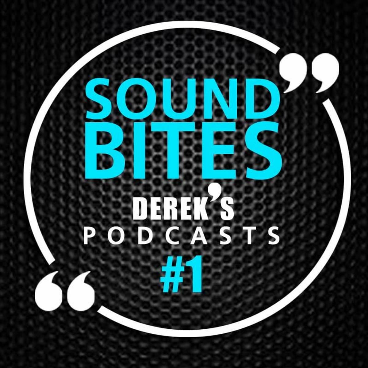 ‘1 person dies every 5 days cleaning your sh**’ - Derek O'Brien cover