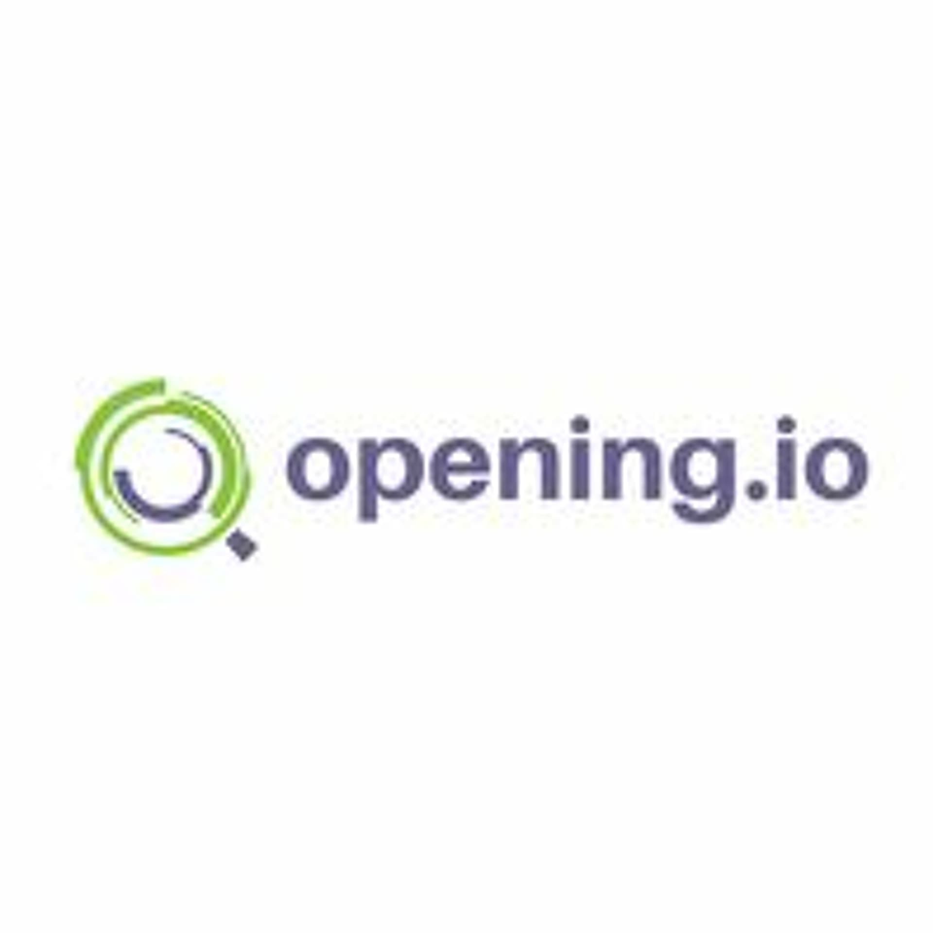 Female Founder Fridays - Andreea Wade, Opening.io - TechIreland cover