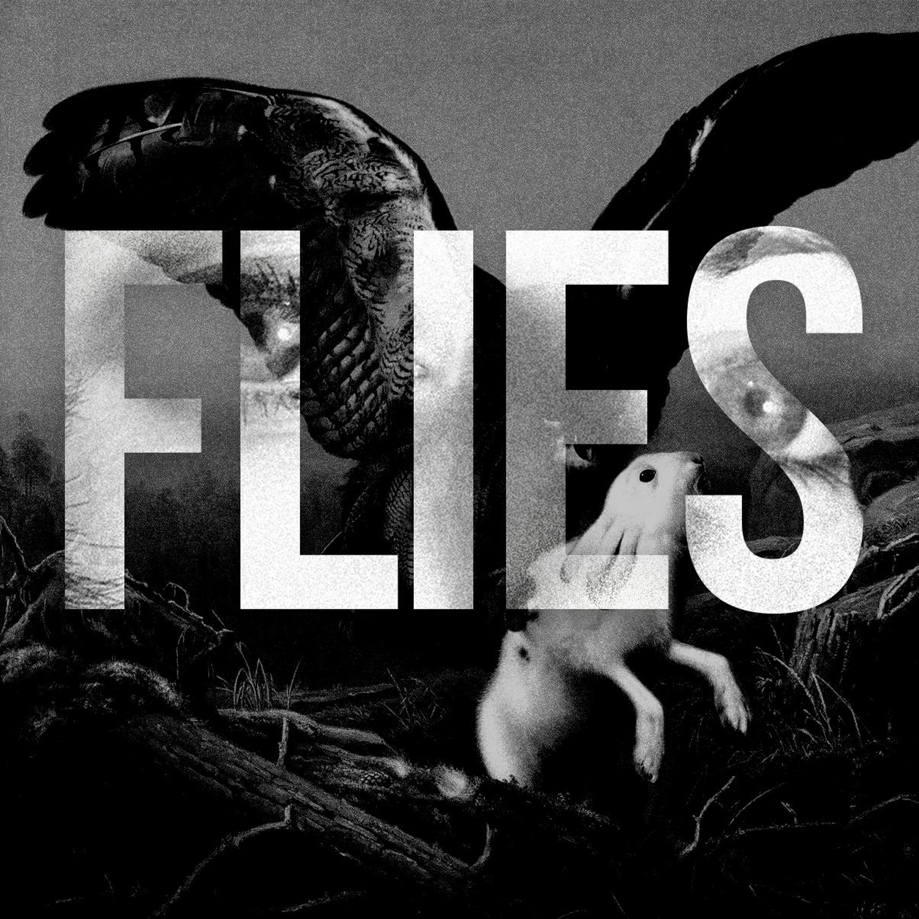 Record - Flies cover
