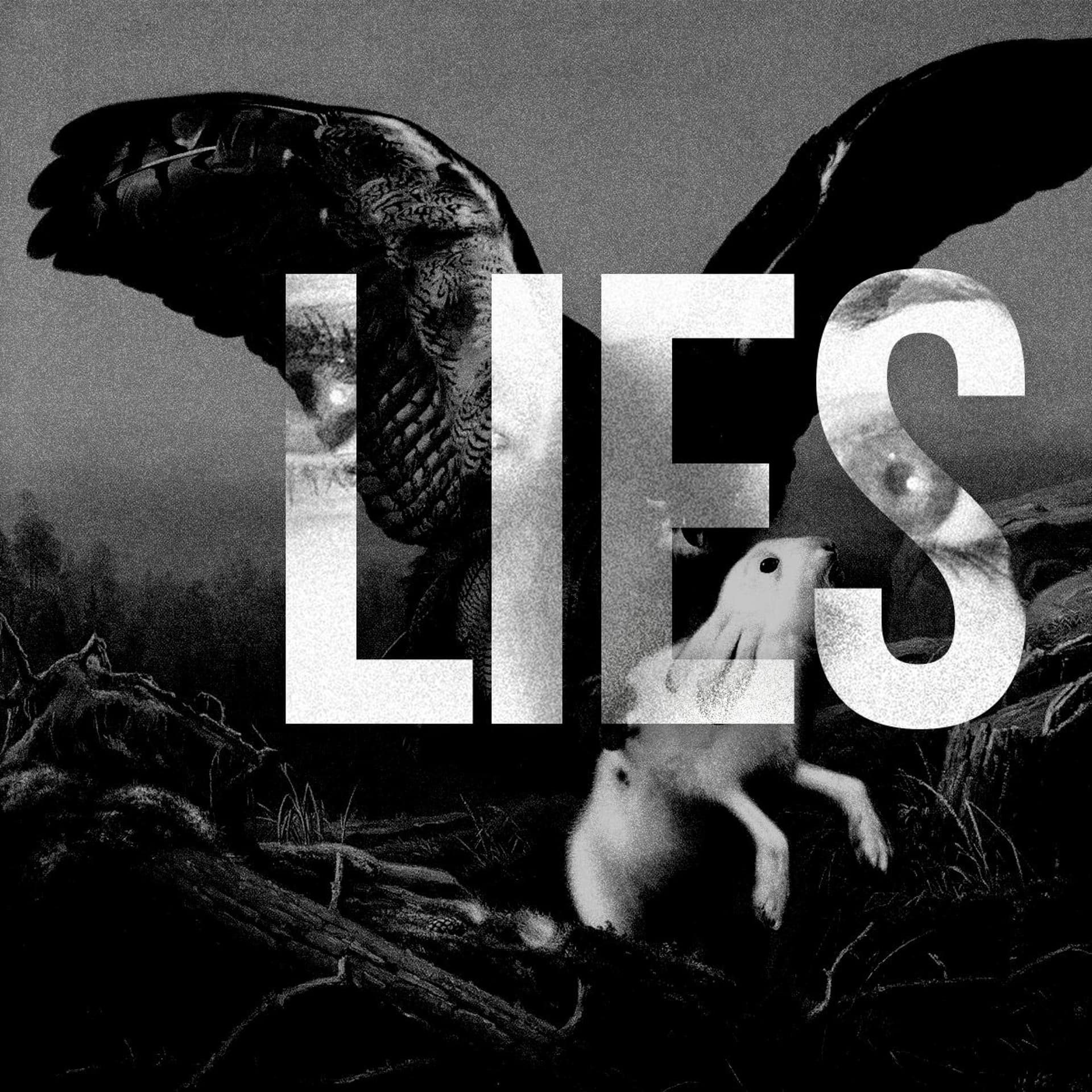 Found - Flies cover
