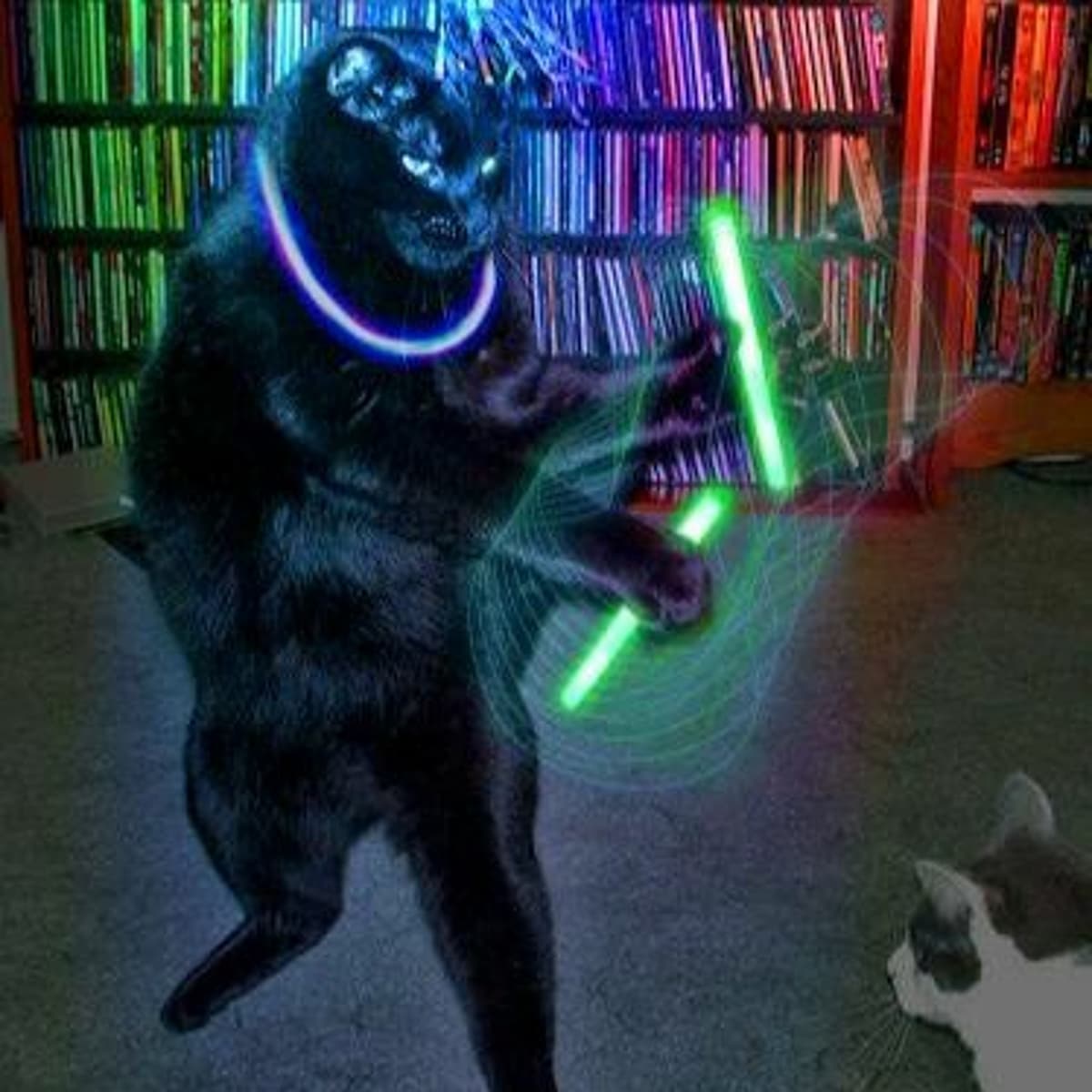 Sub-bass frequencies - MILCH cover