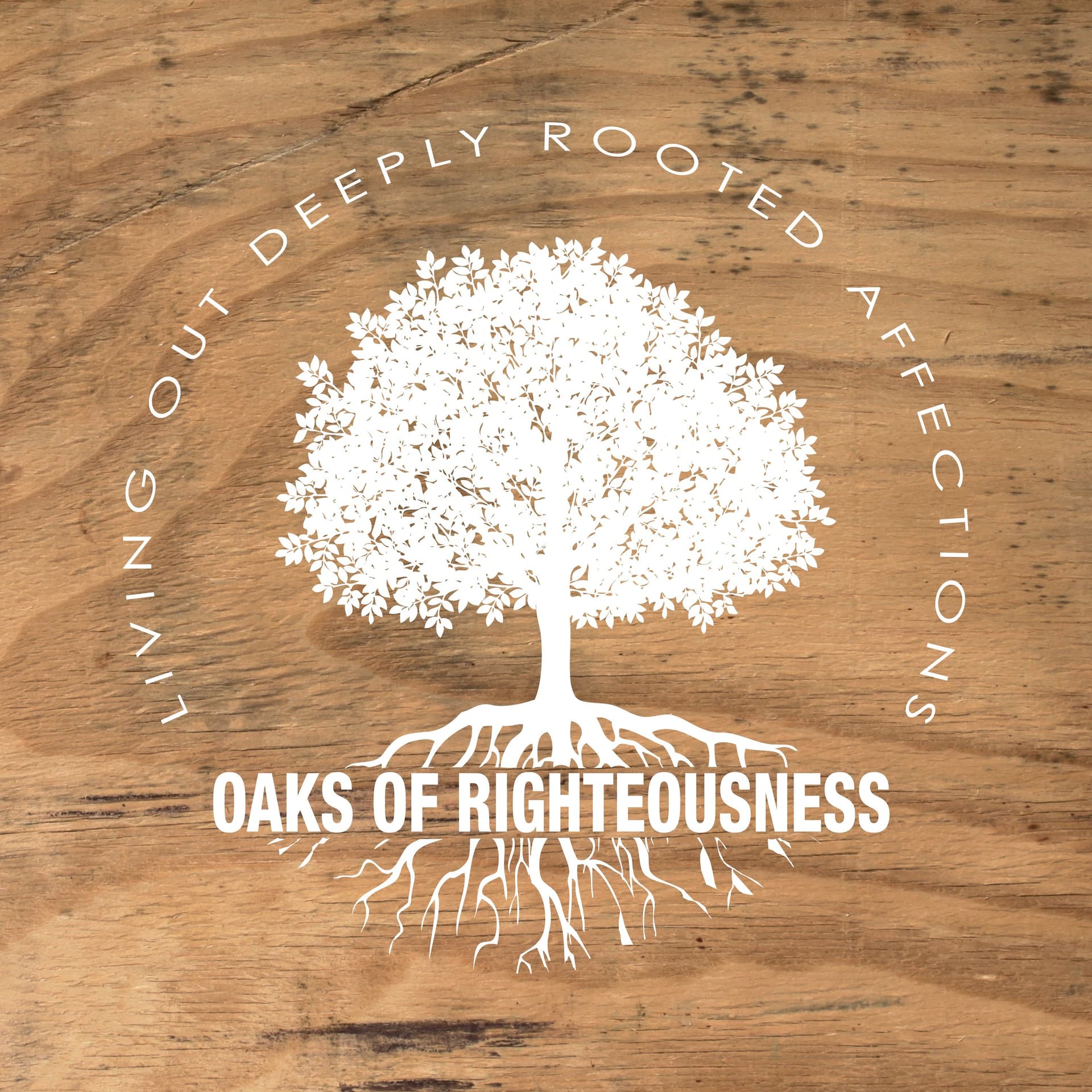 Ep16_ORLODRA: Social Media - Oaks of Righteousness cover