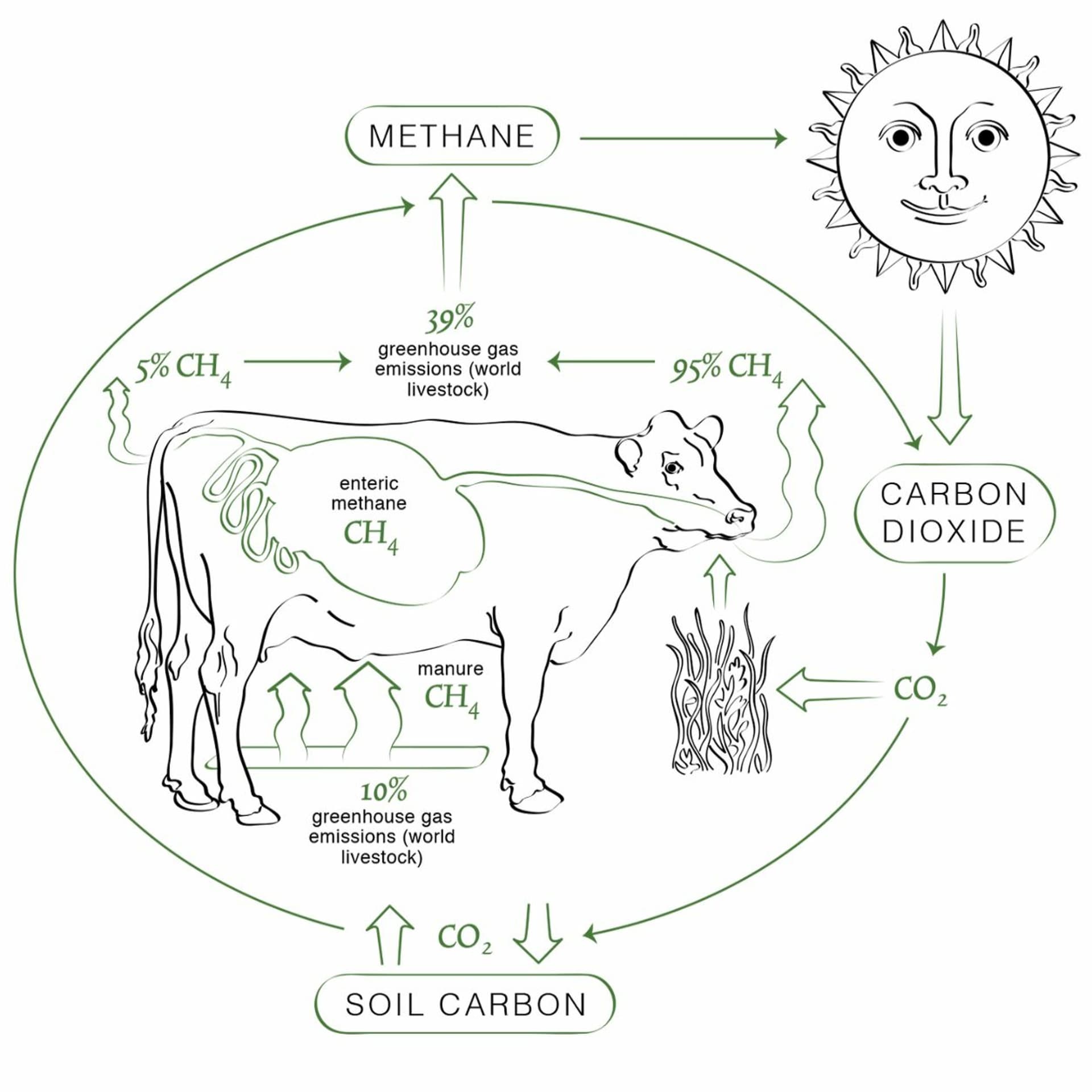 What about CO2 grazing cows? (with organic dairy farmer C. van Rijn) - The Soft Protest, Digest cover
