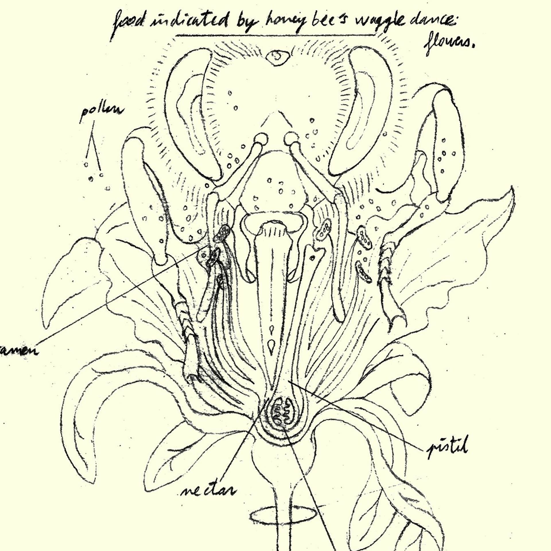 Une abeille open-source pour un environnement empoisonné (avec l'apiculteur et biologiste J. Perrin) - The Soft Protest, Digest cover