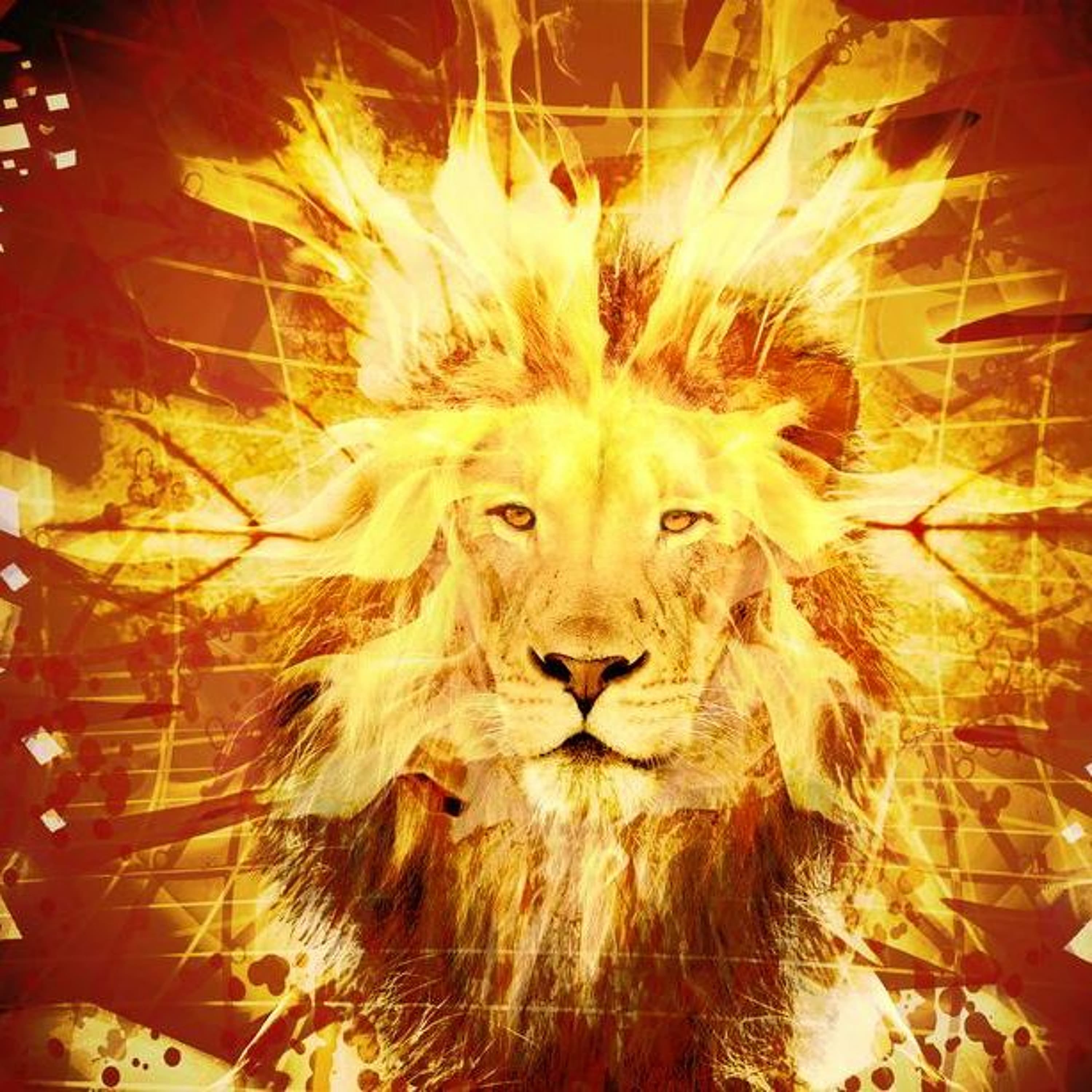 Broadcast Error - Lion Wolf cover