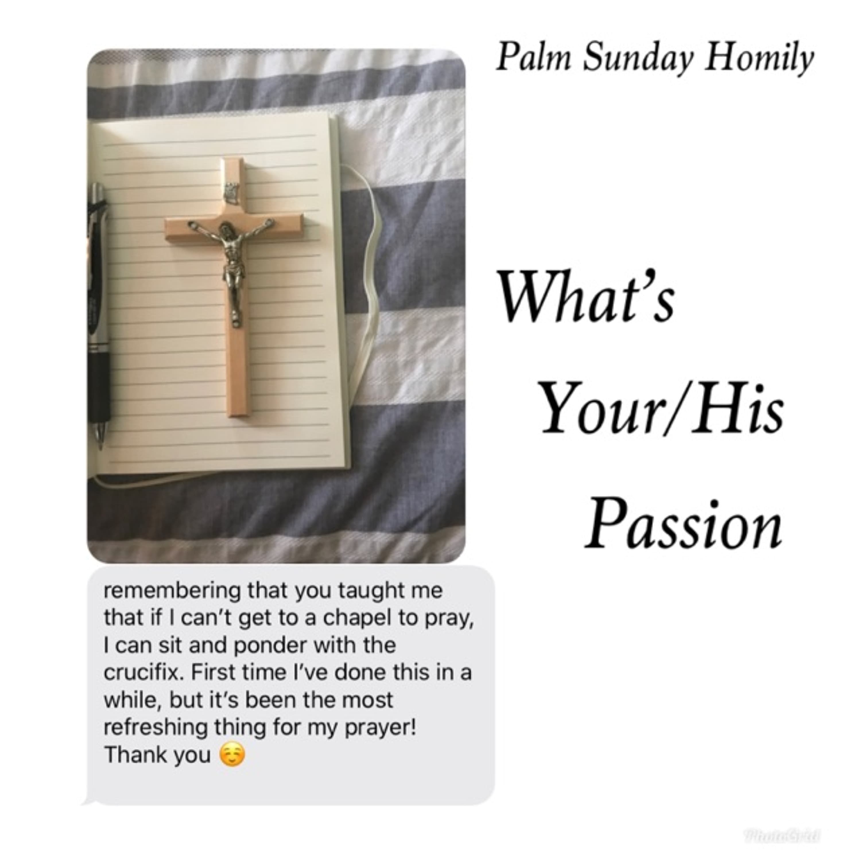 Passion Sunday - Wildcat Catholic cover