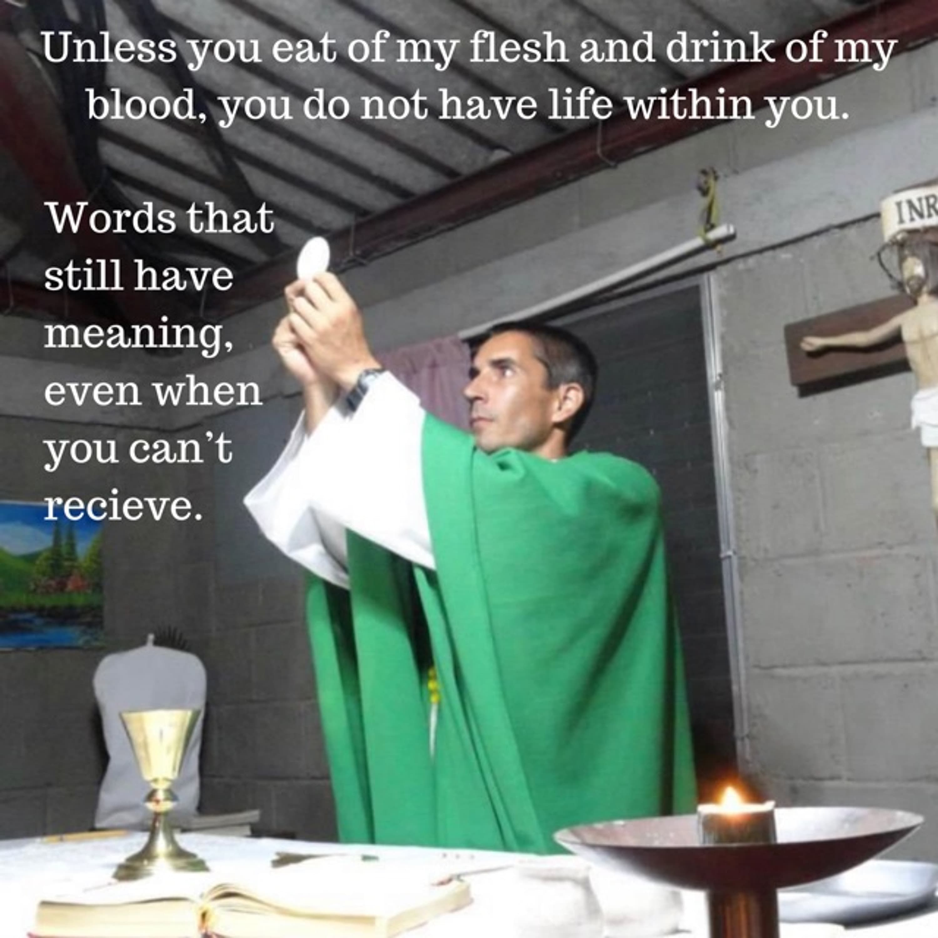 Life in the Longing - Wildcat Catholic cover