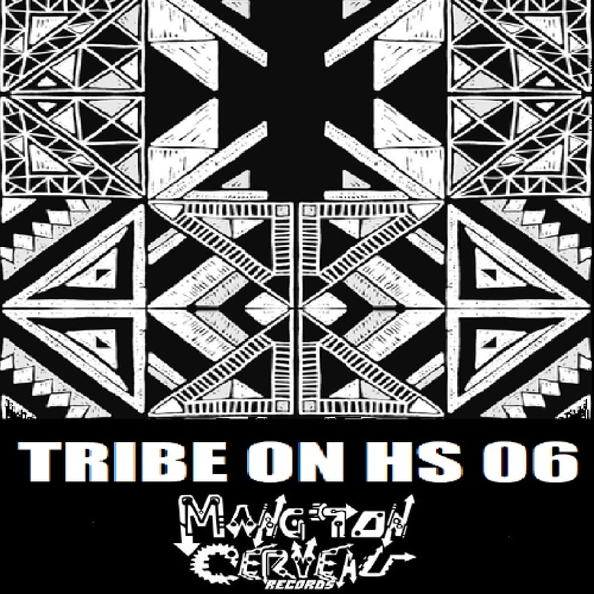 Disakortex - Biscotti (Tribe On Hs 06) MTC Records - Disakortex MTC aka Dr Brain cover