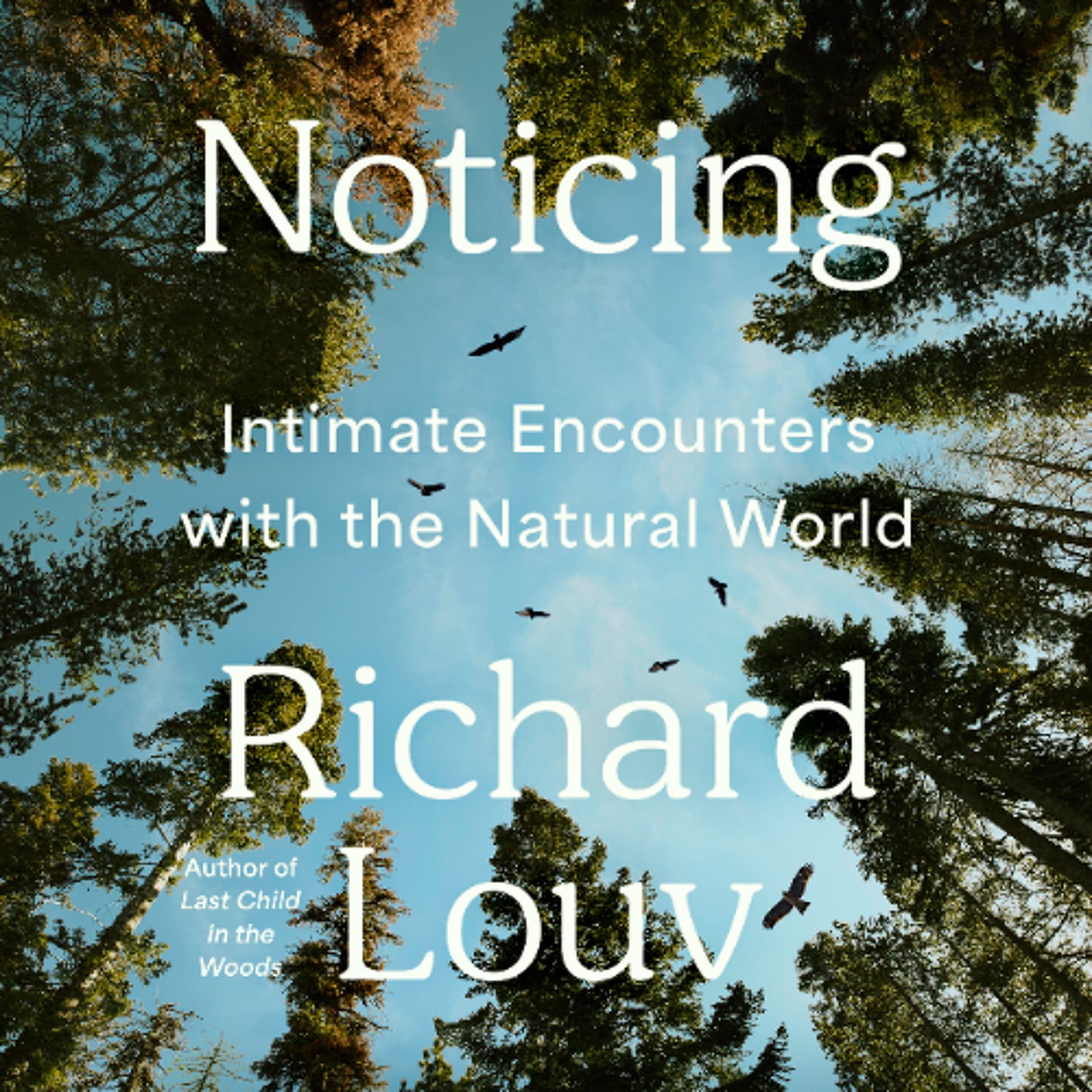 Noticing by Richard Louv Read by Alan Peterson - Book Friends Forever cover