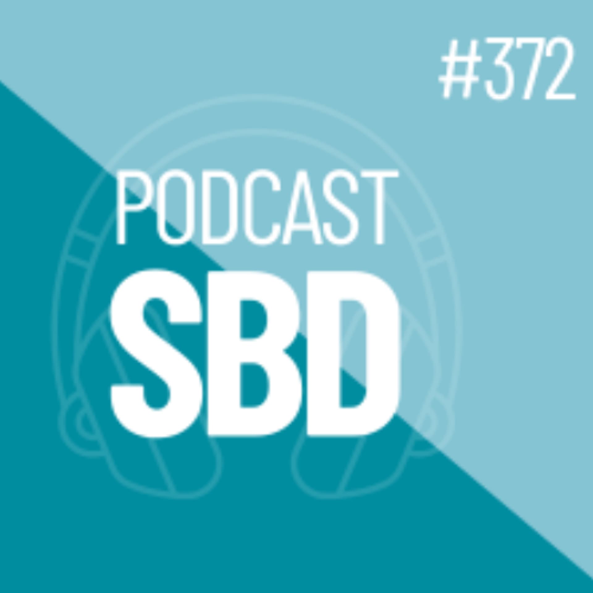 N372 - Individualização da atividade física e exercício – Marcio Krakauer e Fúlvio Thomaselli - SBD cover