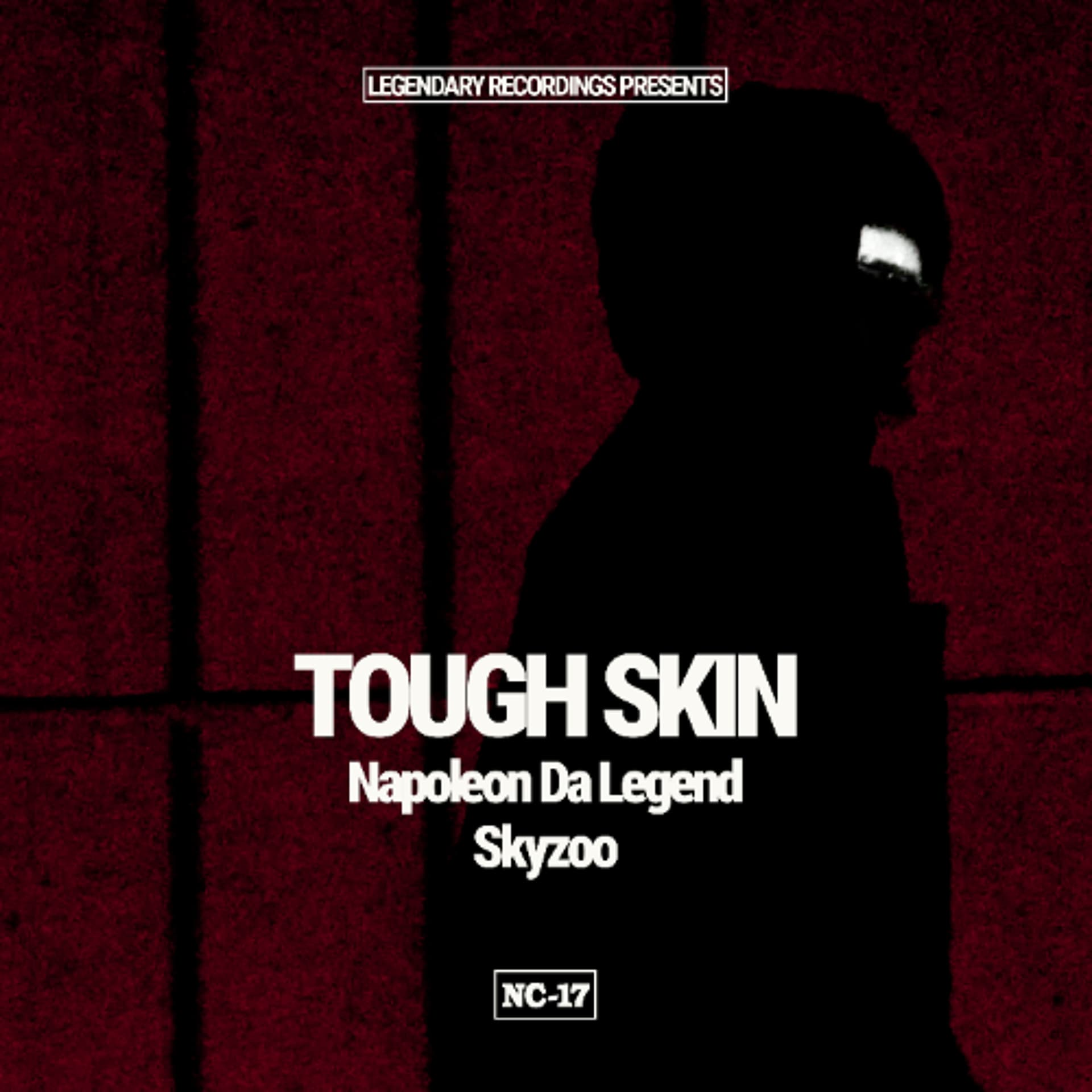 Tough Skin ft. Skyzoo - Napoleon Da Legend cover
