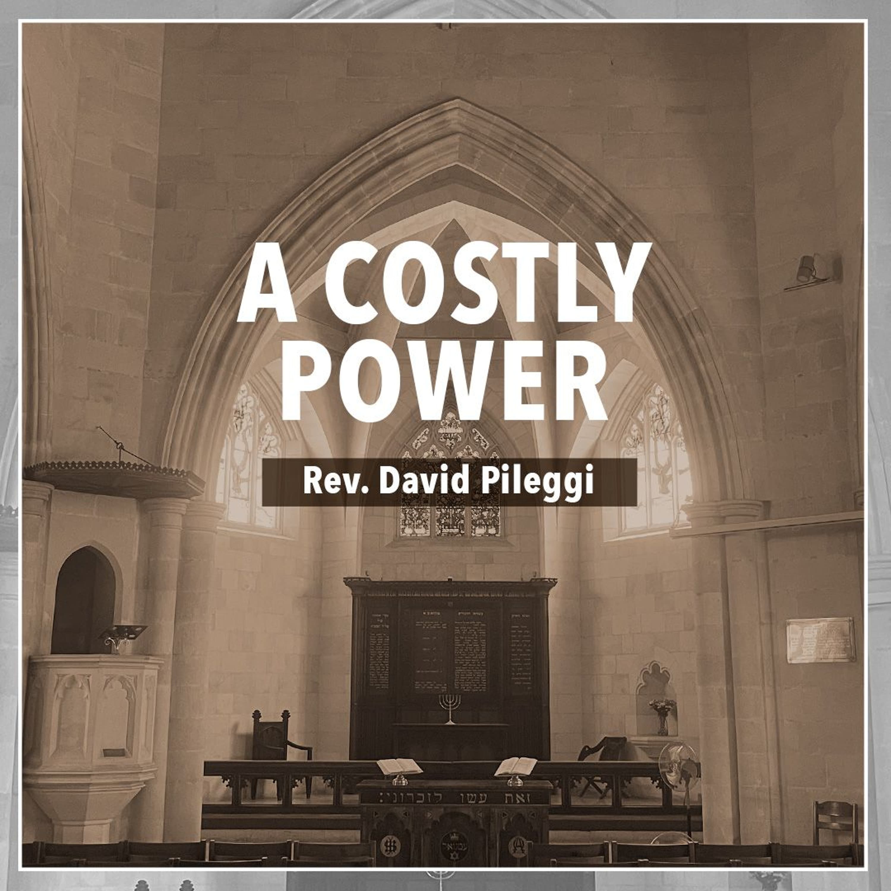 A Costly Power  - Rev. David Pileggi - Christ Church Jerusalem cover