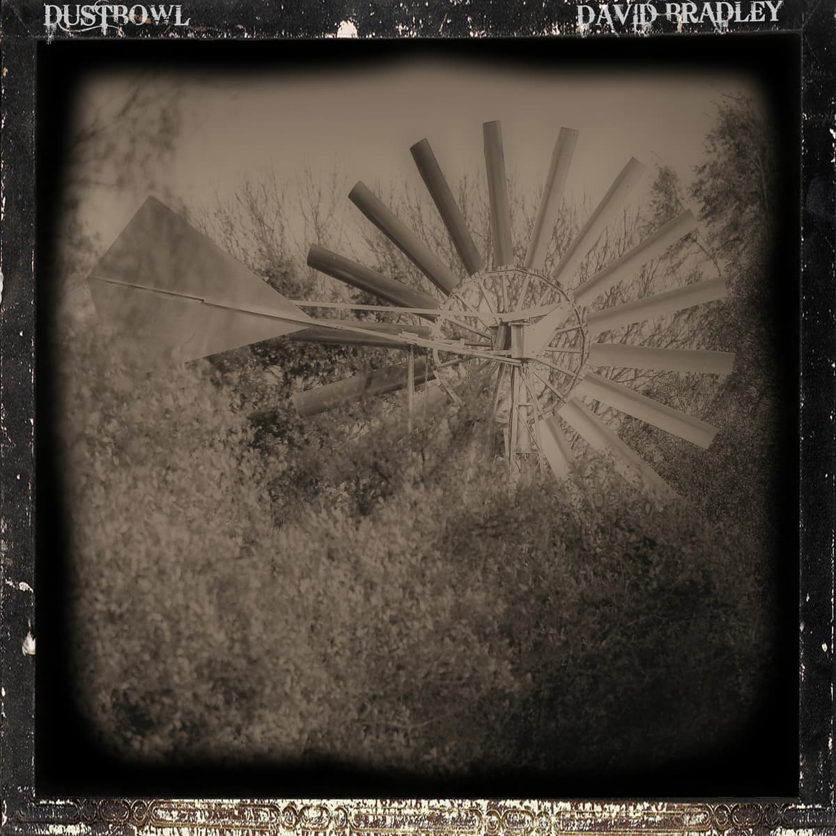 Dustbowl - Dave Bradley cover
