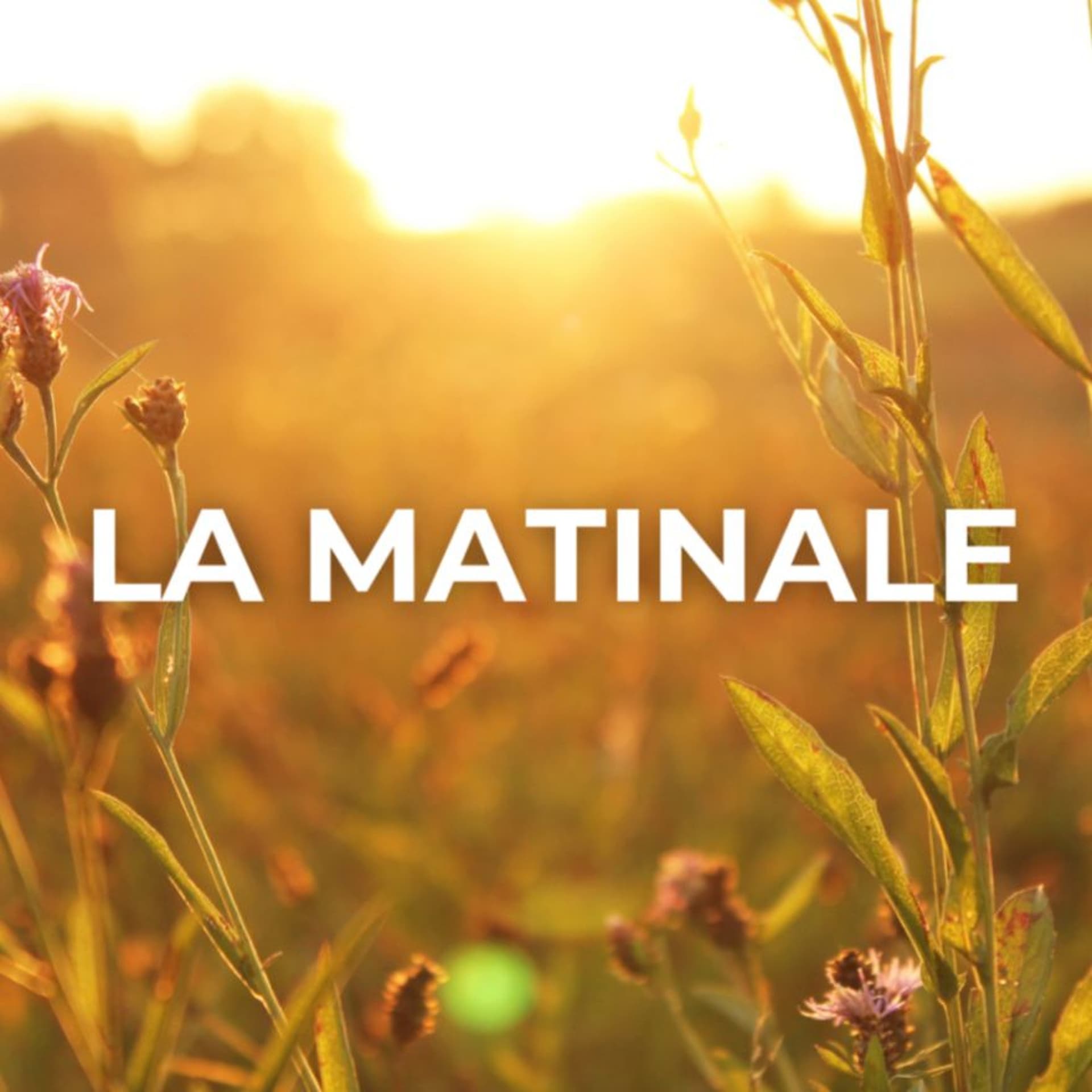 20260429 matinale - Les émissions de Radio Victoria cover