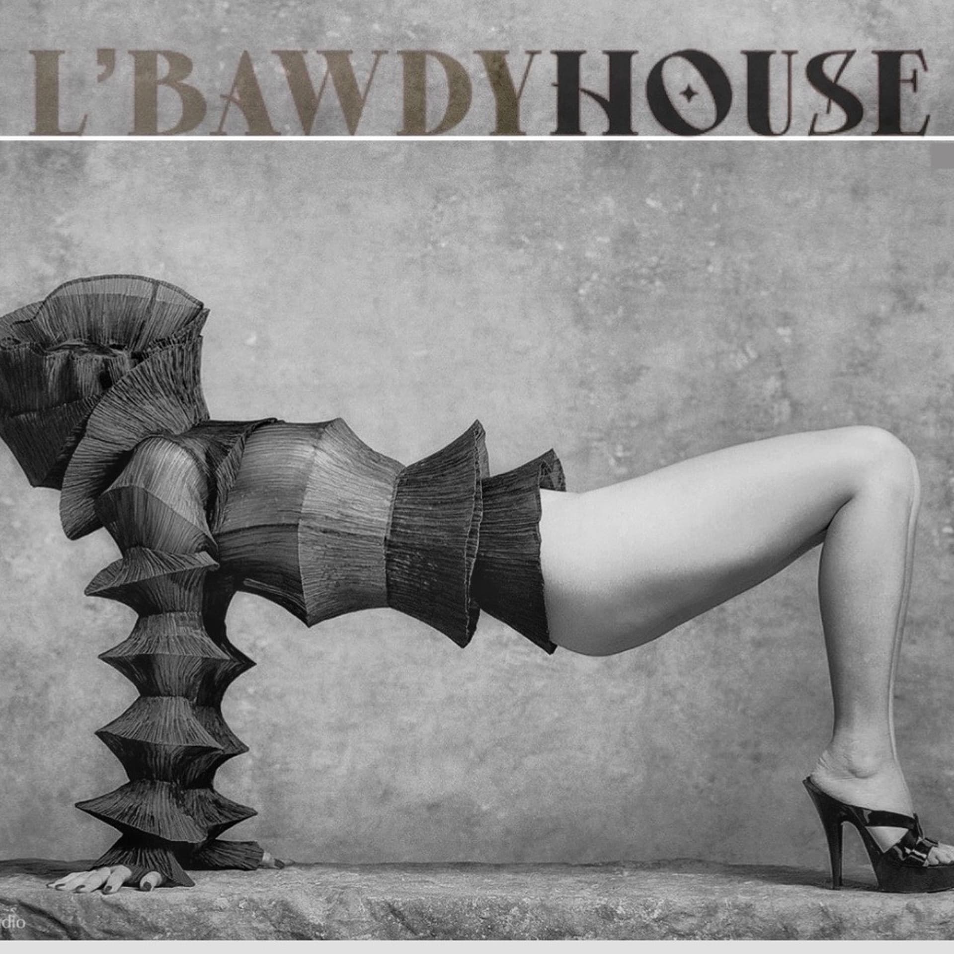 Boofing A Roofie (Bop) - L'BAWDYHOUSE cover