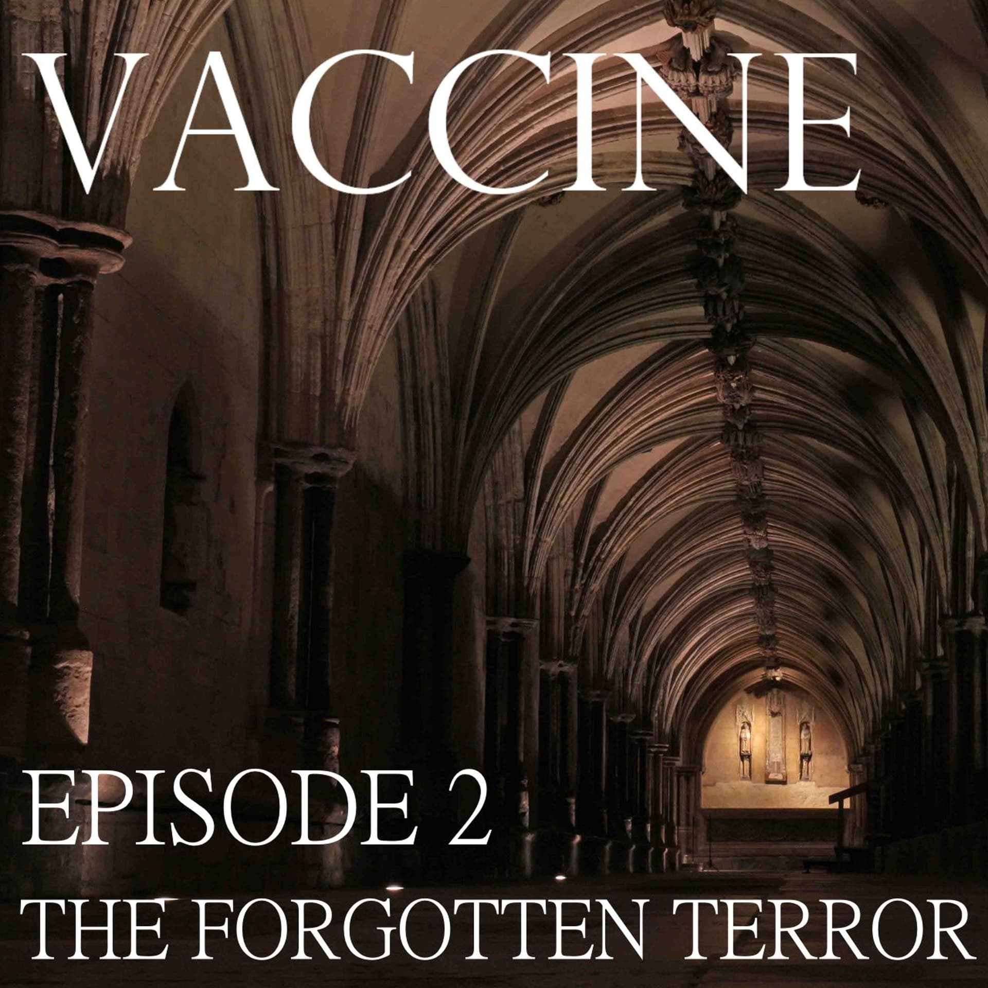 2. The Forgotten Terror - Vaccine: The Human Story cover