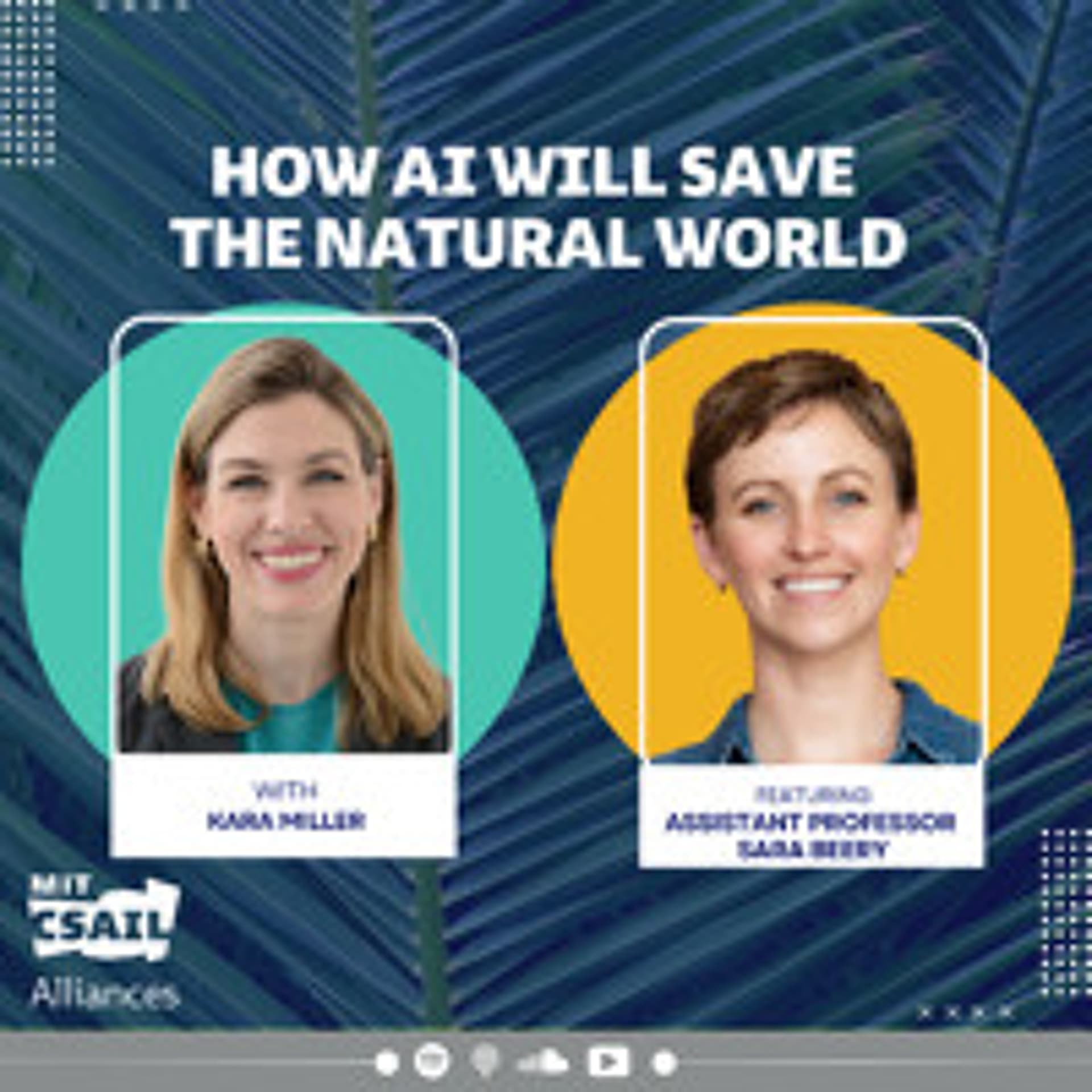 How AI Can Help Save the Natural World, with MIT CSAIL Assistant Professor Sara Beery — CSAIL Alliances Podcasts cover