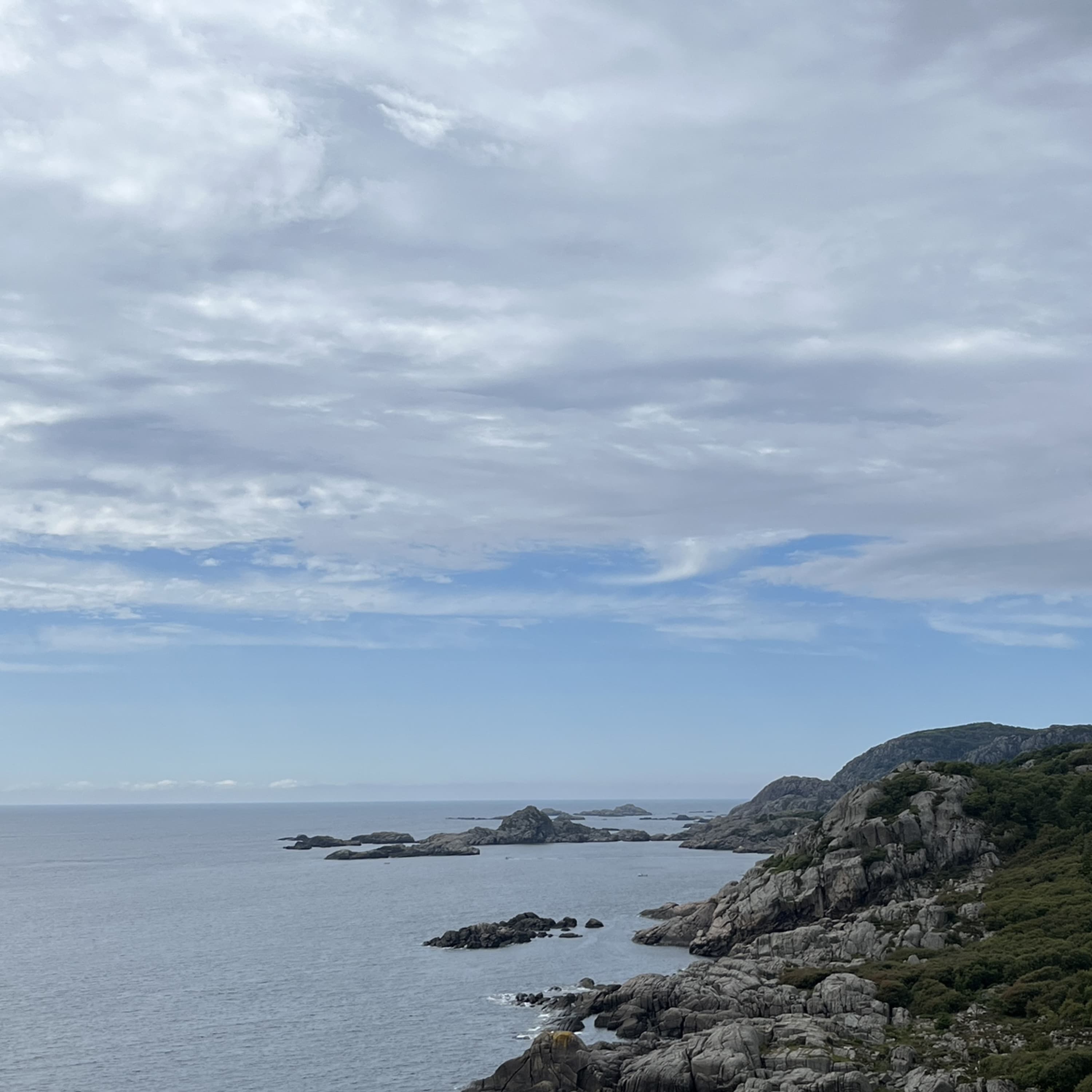 Swell - The Jedson Project cover