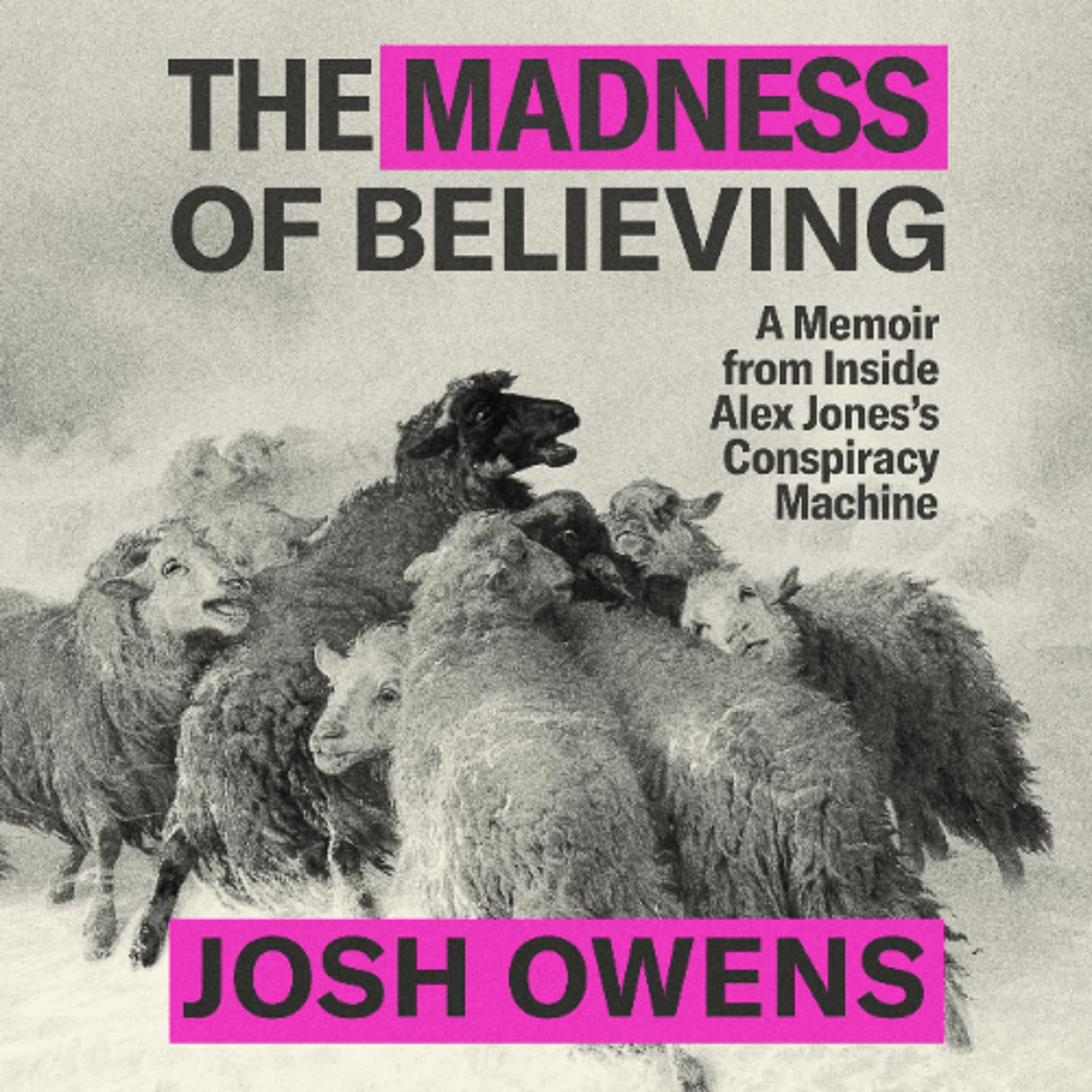 The Madness of Believing by Josh Owens Read by Josh Owens — Book Friends Forever cover