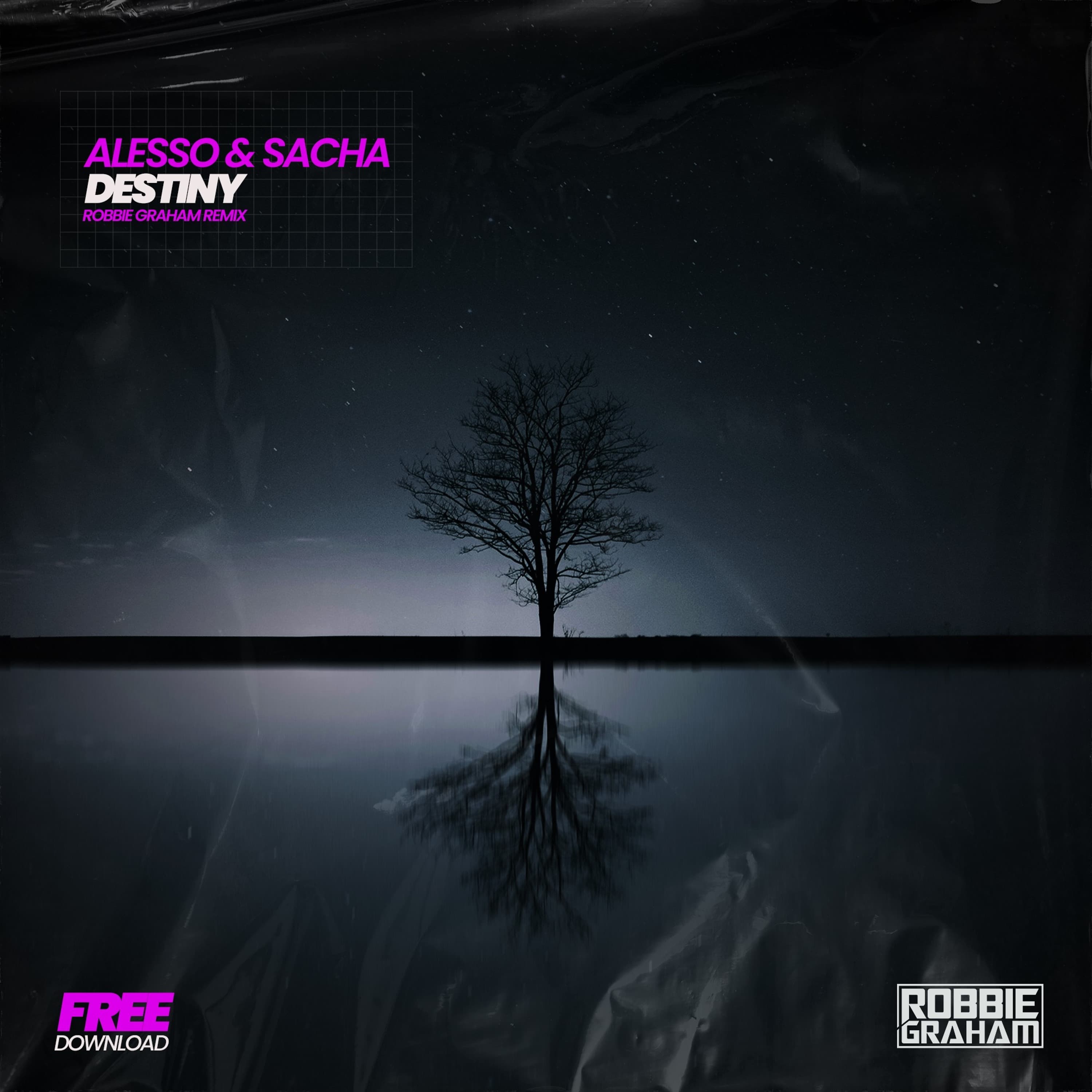 Alesso & Sacha - Destiny (Robbie Graham Remix) - Robbie Graham cover