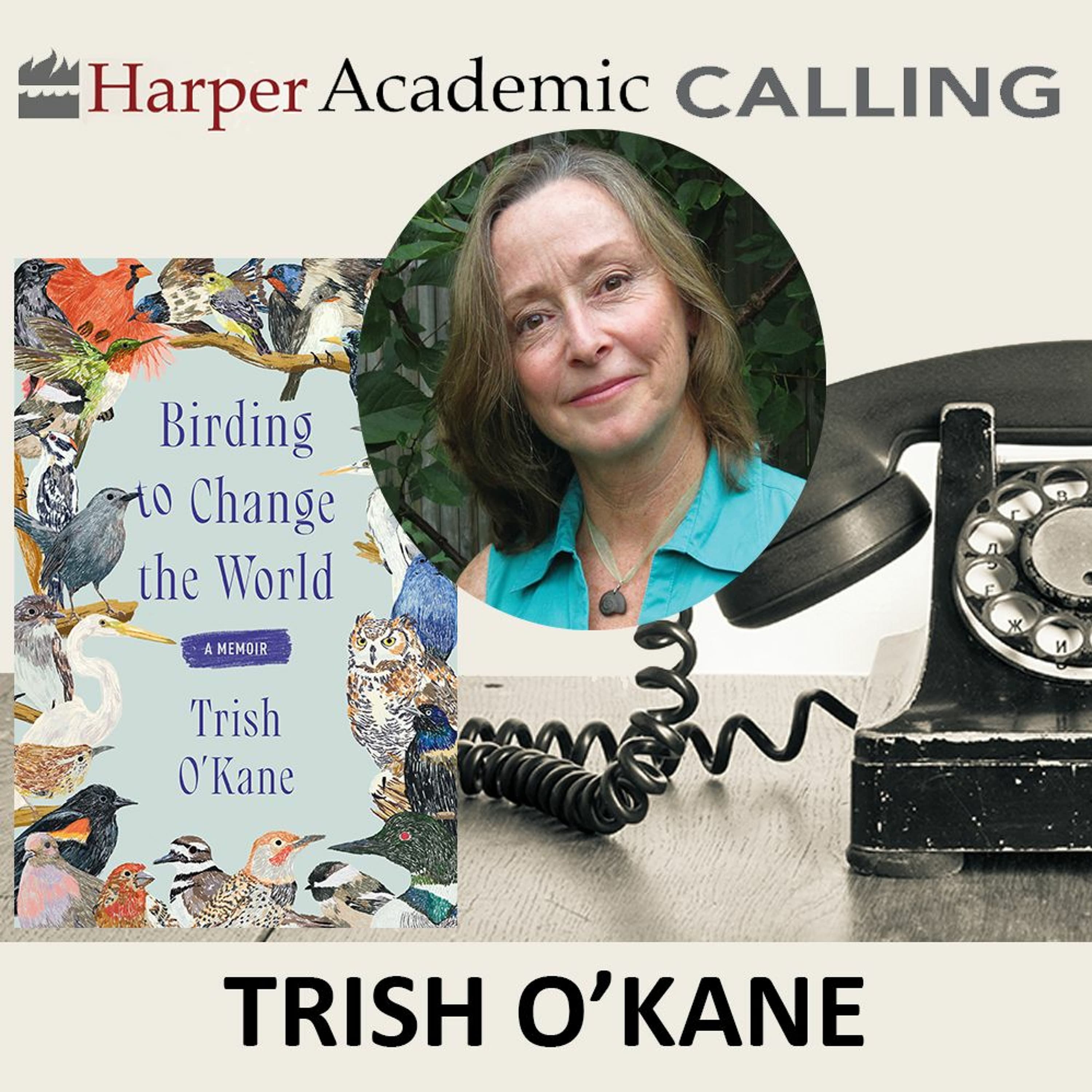 Trish O'Kane - HarperAcademic Calling cover
