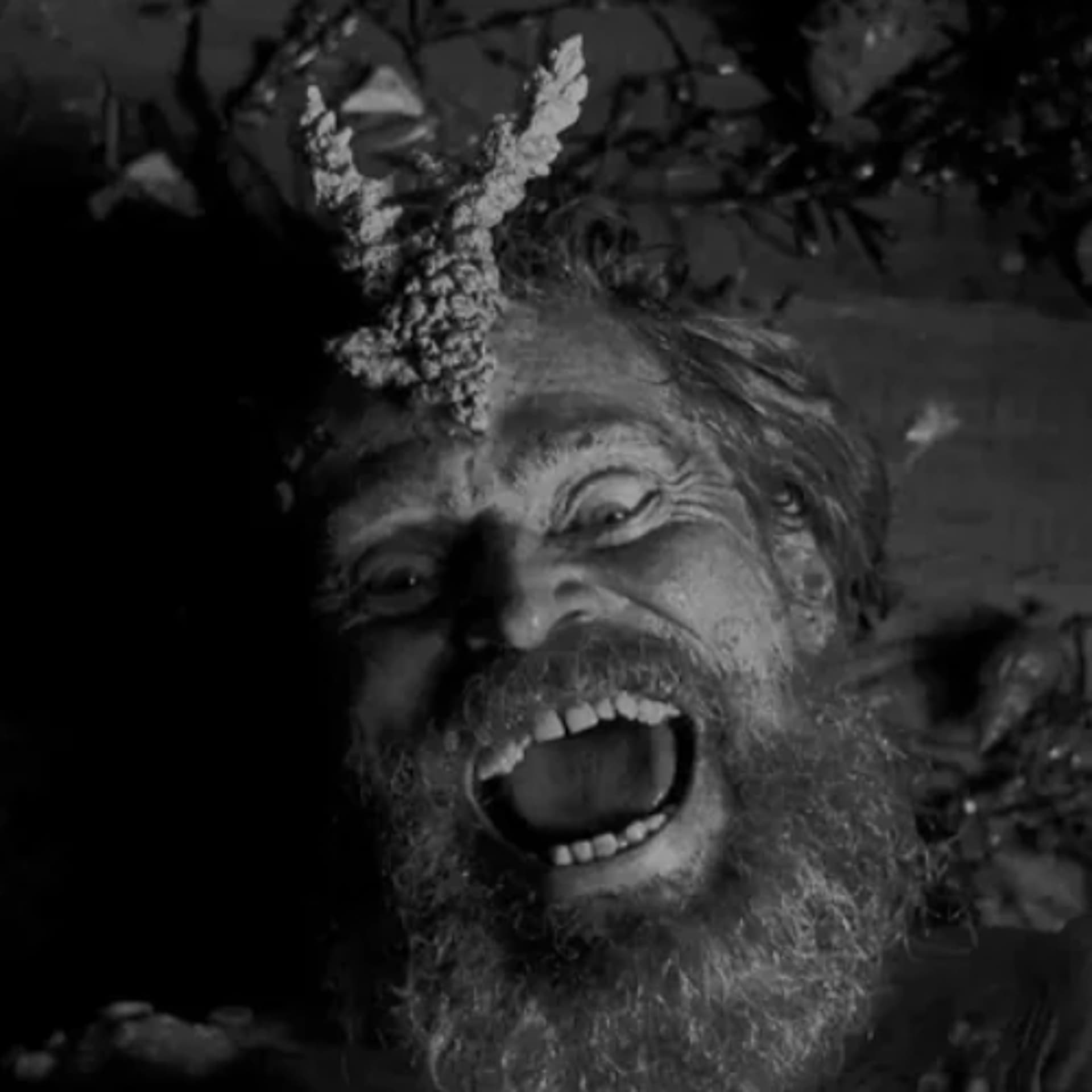 THE LIGHTHOUSE - We Love to Watch cover