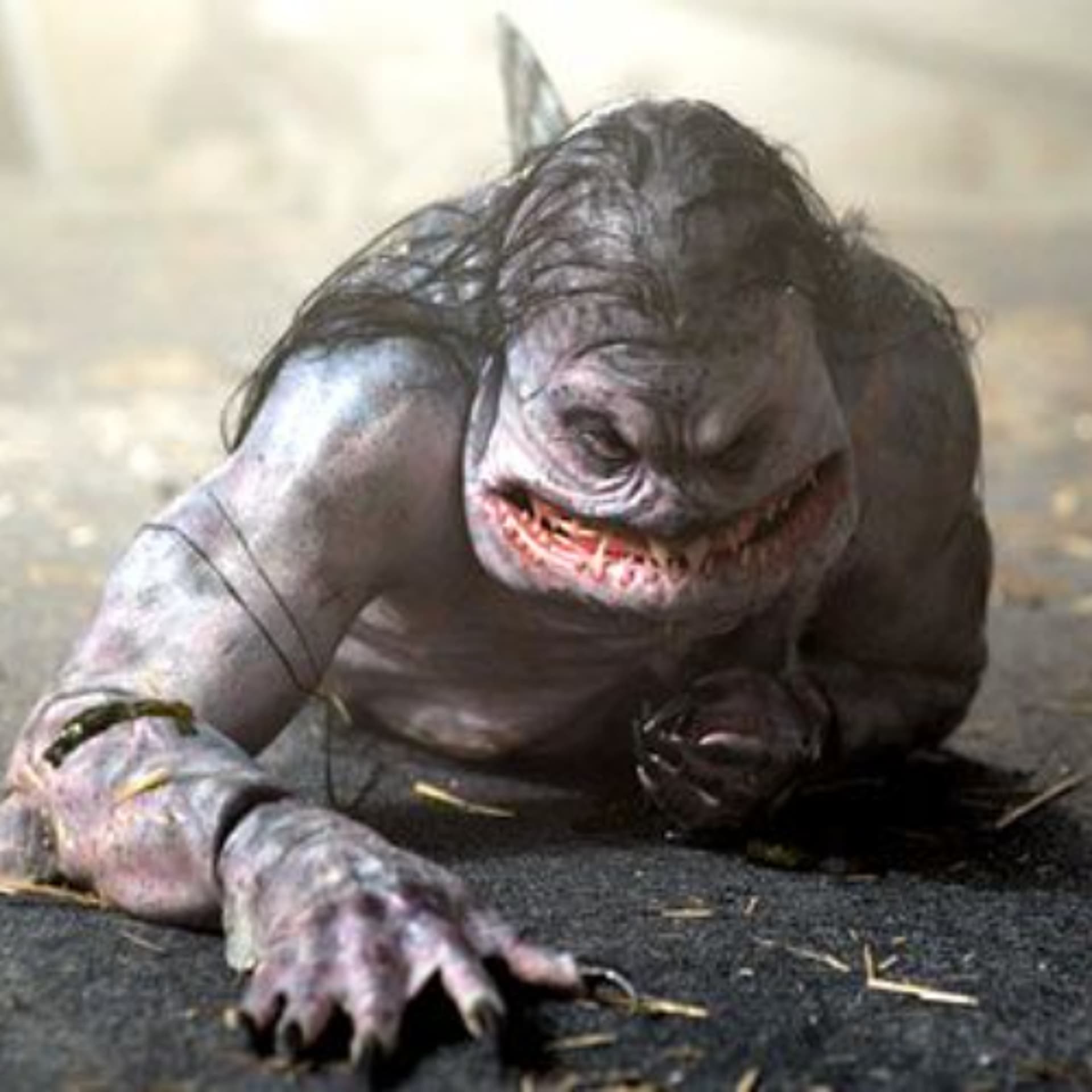 THE CABIN IN THE WOODS - We Love to Watch cover