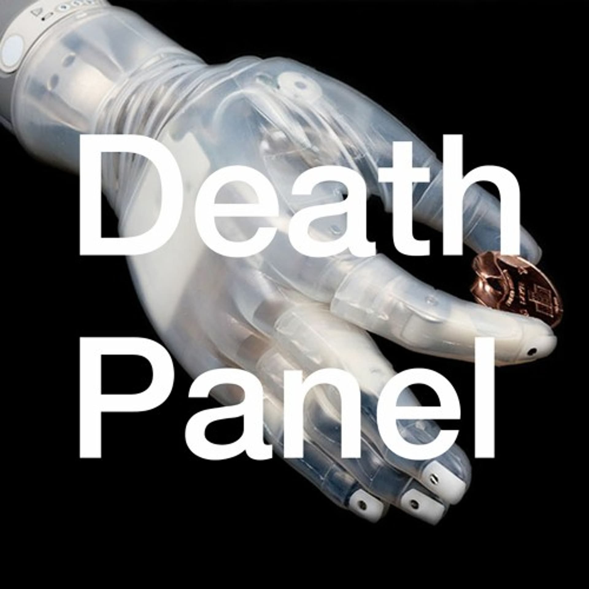 "The Wheelchair-to-Warfare Pipeline" w/ Liz Jackson and Rua Williams — Death Panel cover