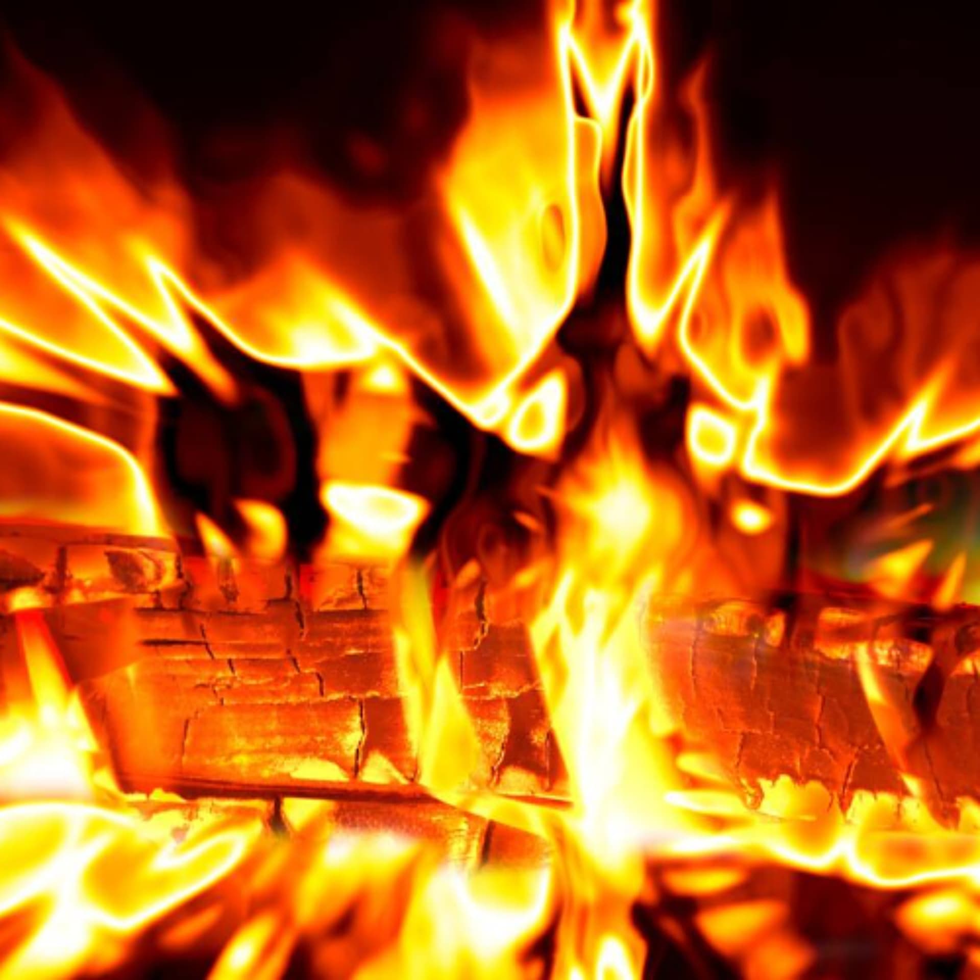 Fire: Holy and Unholy (Rabbi Sacks on Shemini, Covenant & Conversation) - The Rabbi Sacks Legacy cover