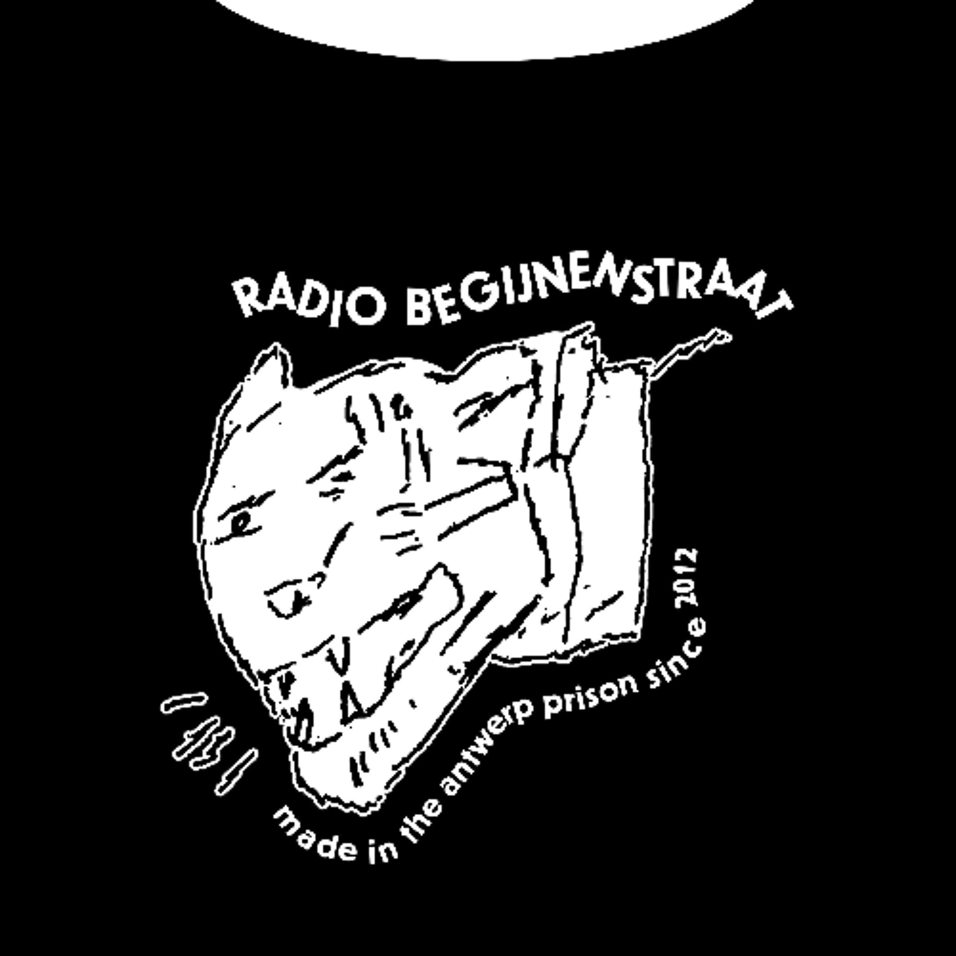 Uitzending Chasing the Sunlight - Radio Begijnenstraat cover