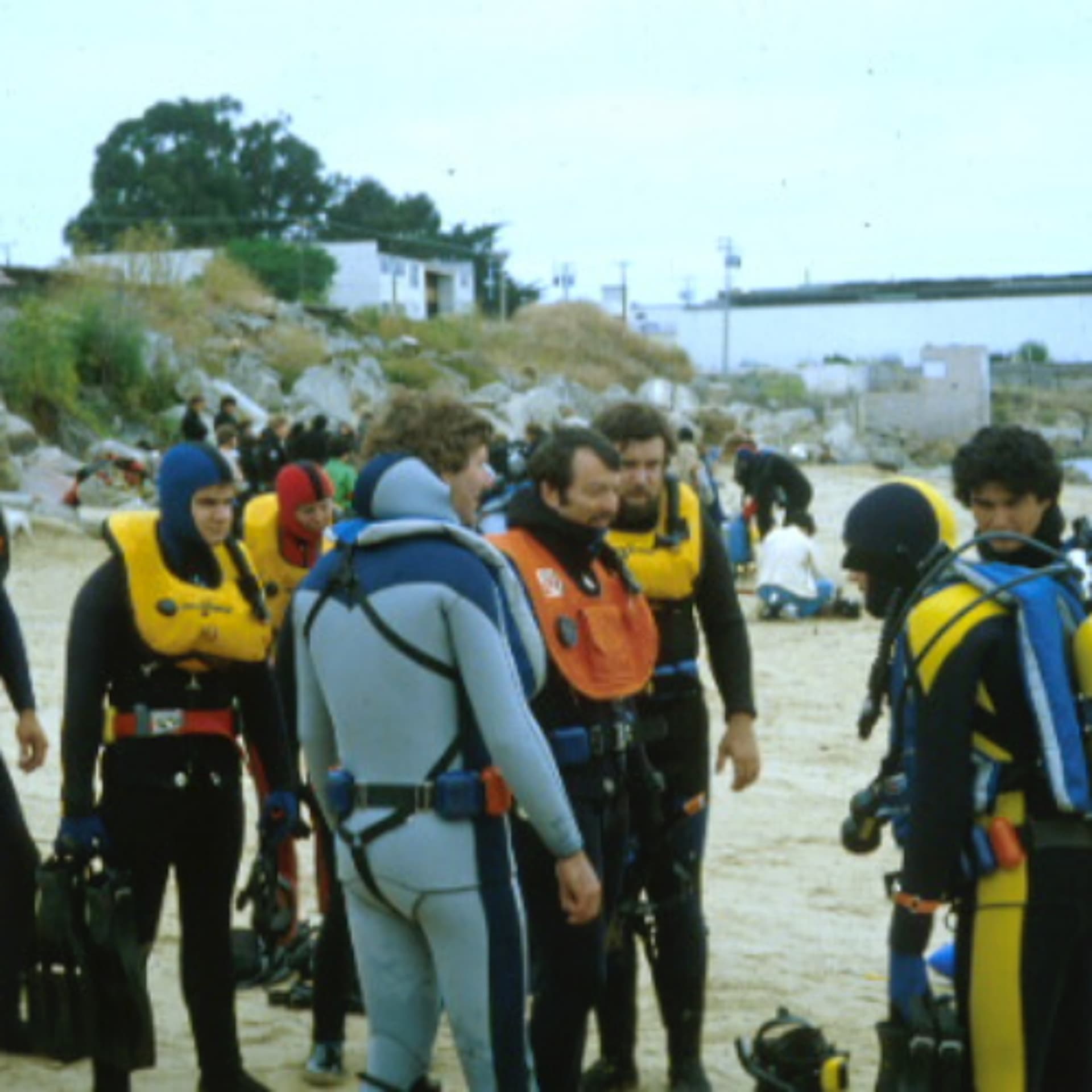 Episode 312-What Matters - The Natural Curiosity Project cover