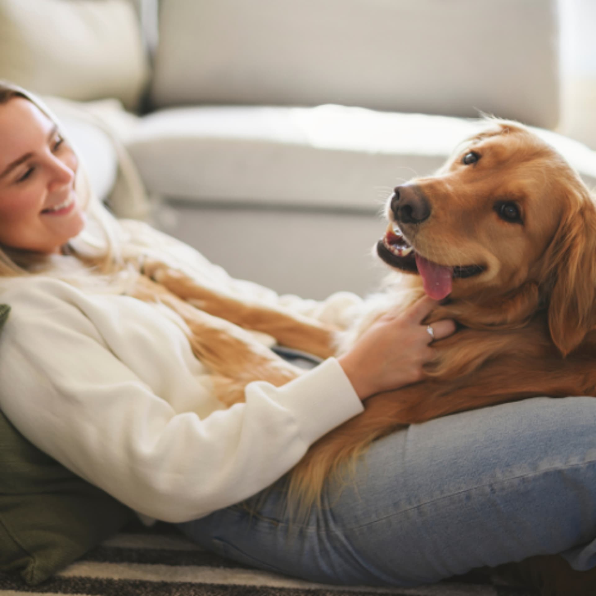 Strengthening the Human-Animal Bond Through Communication, Trust and Technology - VetFolio Voice cover