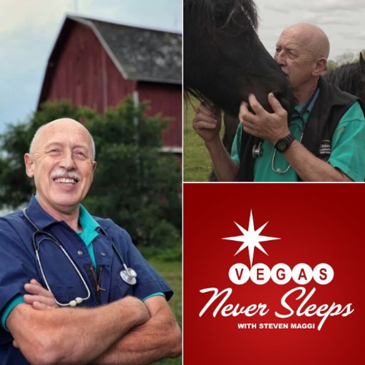"The Incredible Dr. Pol" - The Complete Dr. Jan Pol Interview - Vegas Never Sleeps cover