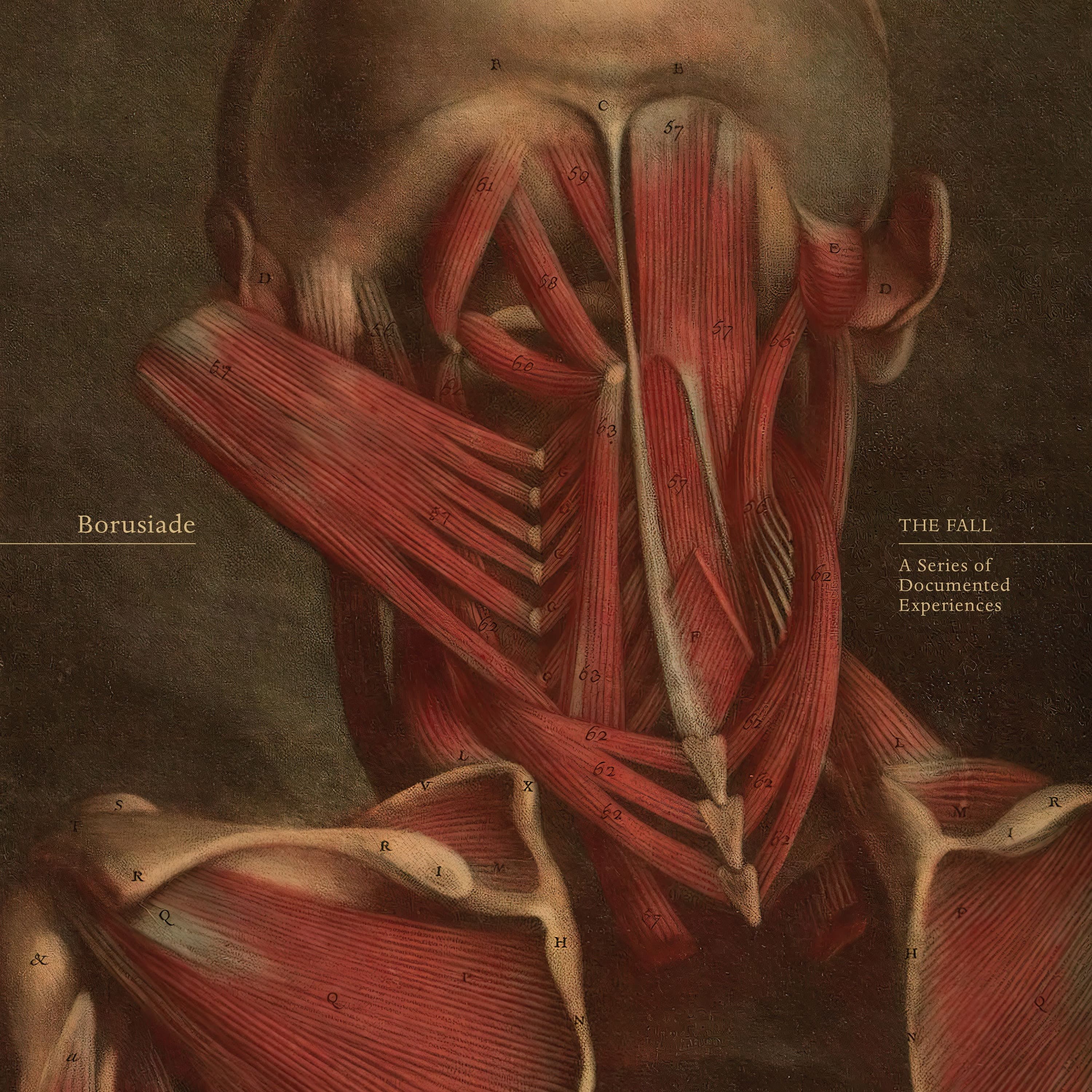 Borusiade  - The Fall (SNIPPETS) - darkentriesrecords cover