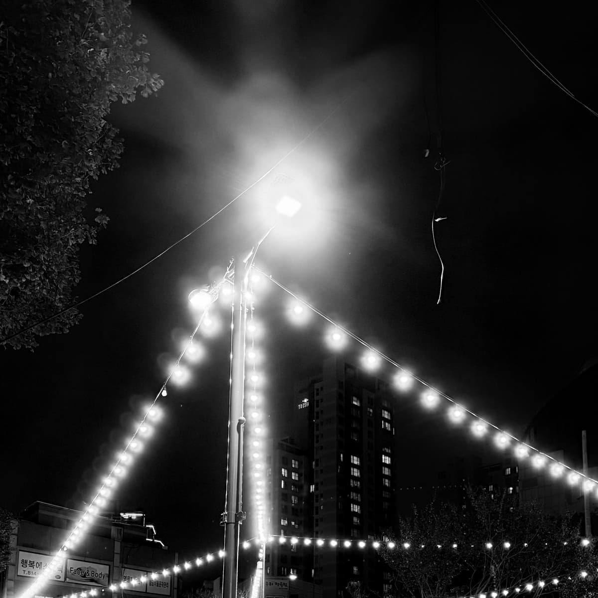 20251012 - Jin Sangtae cover