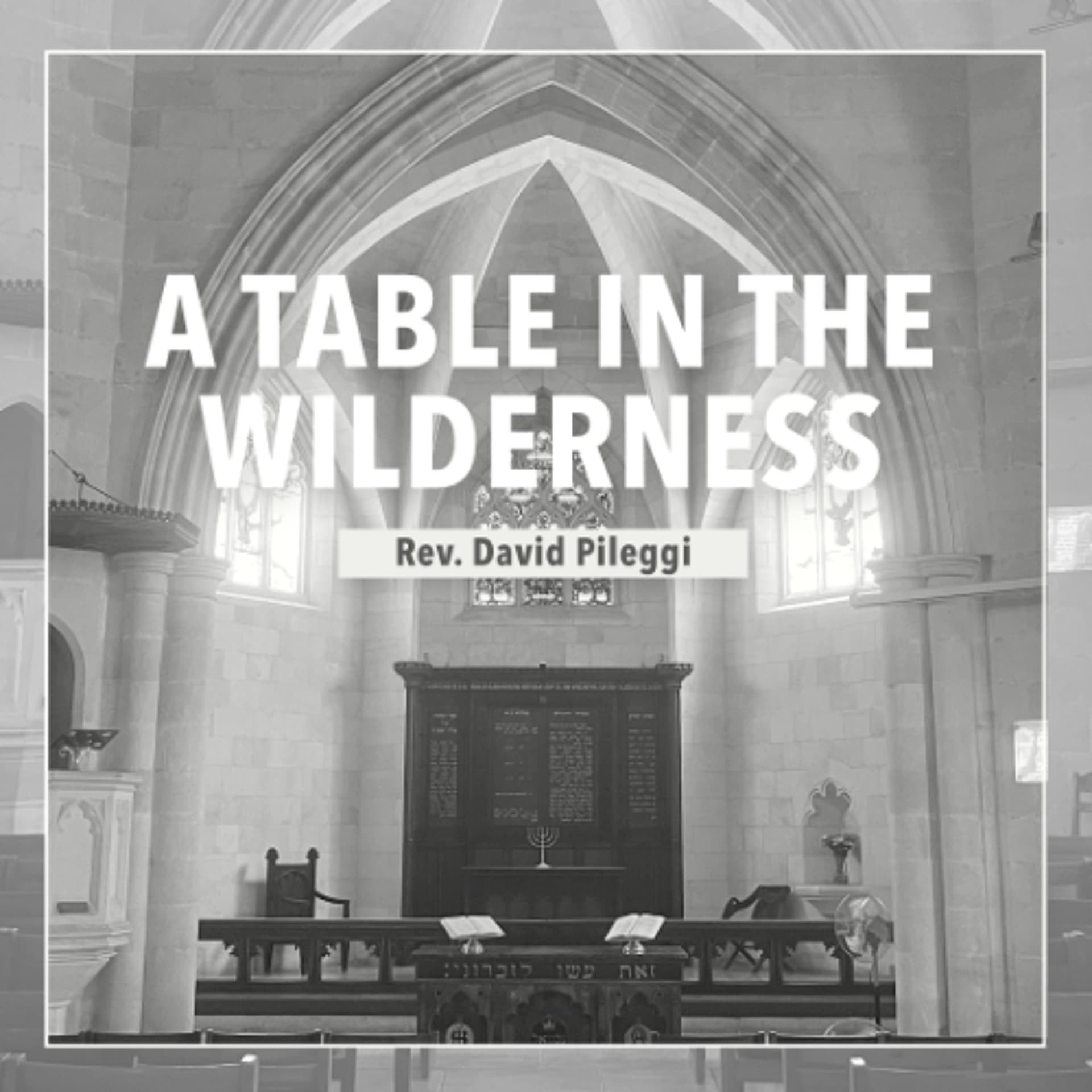 A Table in the Wilderness - Rev. David Pileggi — Christ Church Jerusalem cover