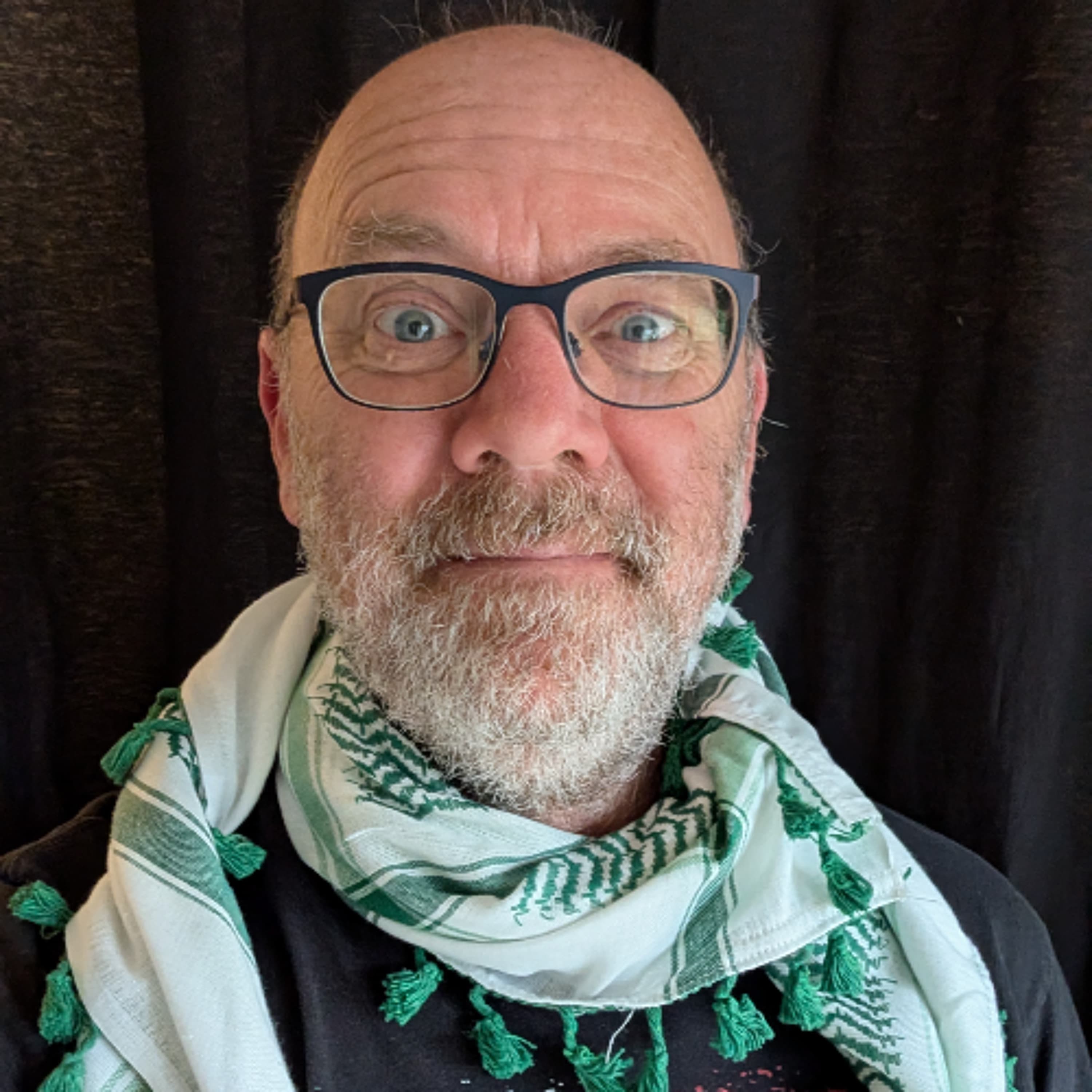 St Patrick's Day Antiwar Concert - davidrovics cover