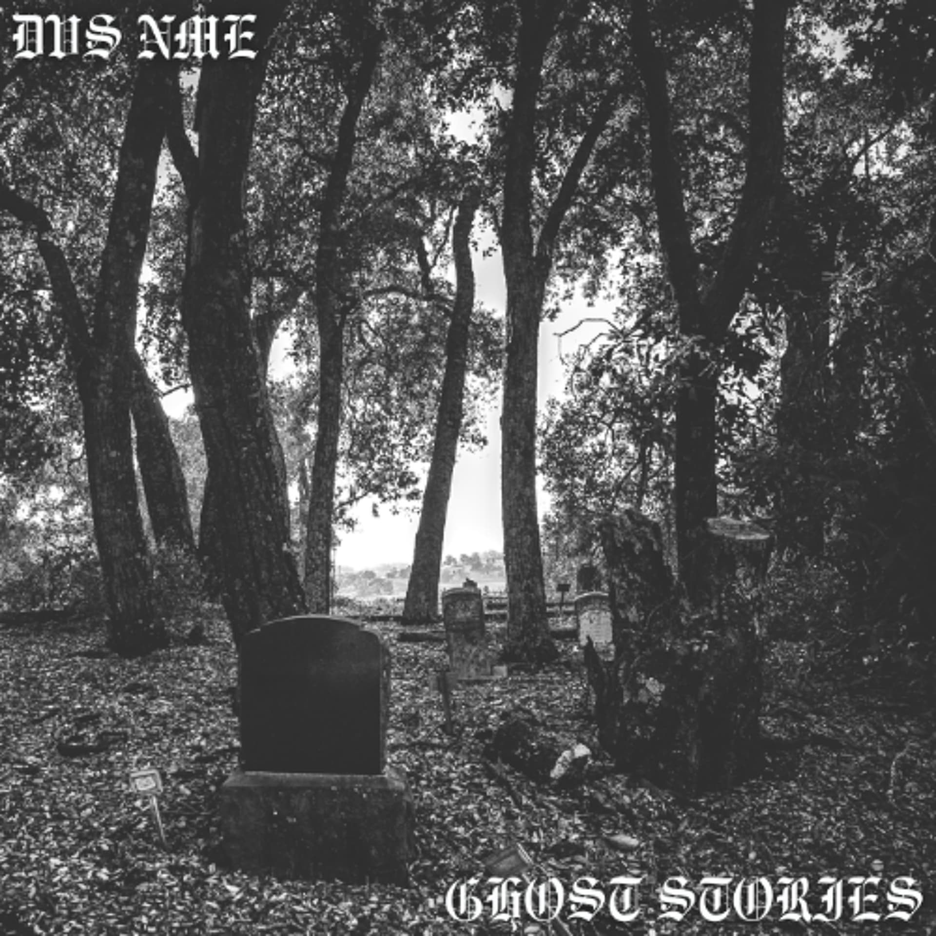 DVS NME - Ghost Stories — DVS NME cover