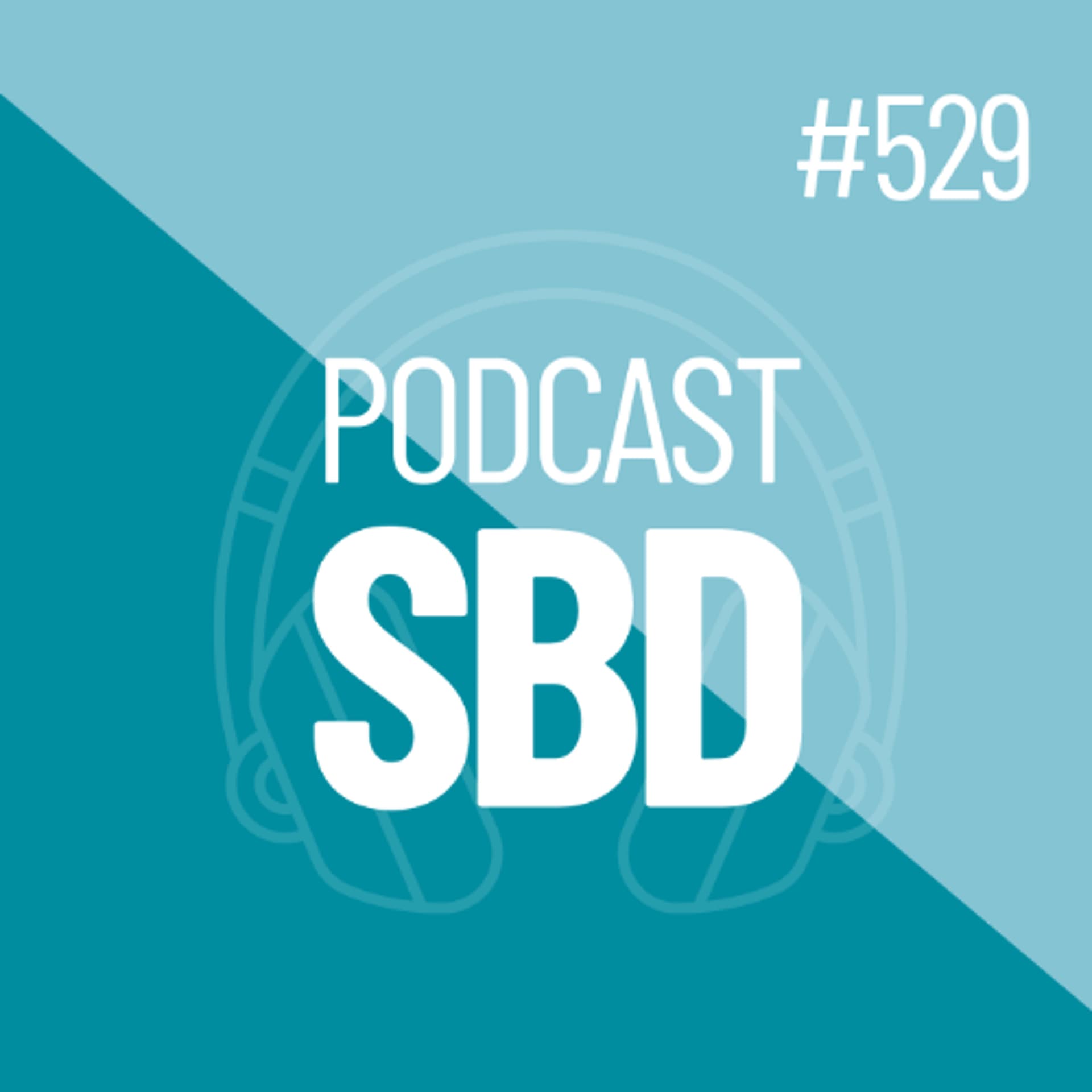 N529 - Efeito do exercício nos lipídios sanguíneos - Samuel Brito de Almeida - SBD cover