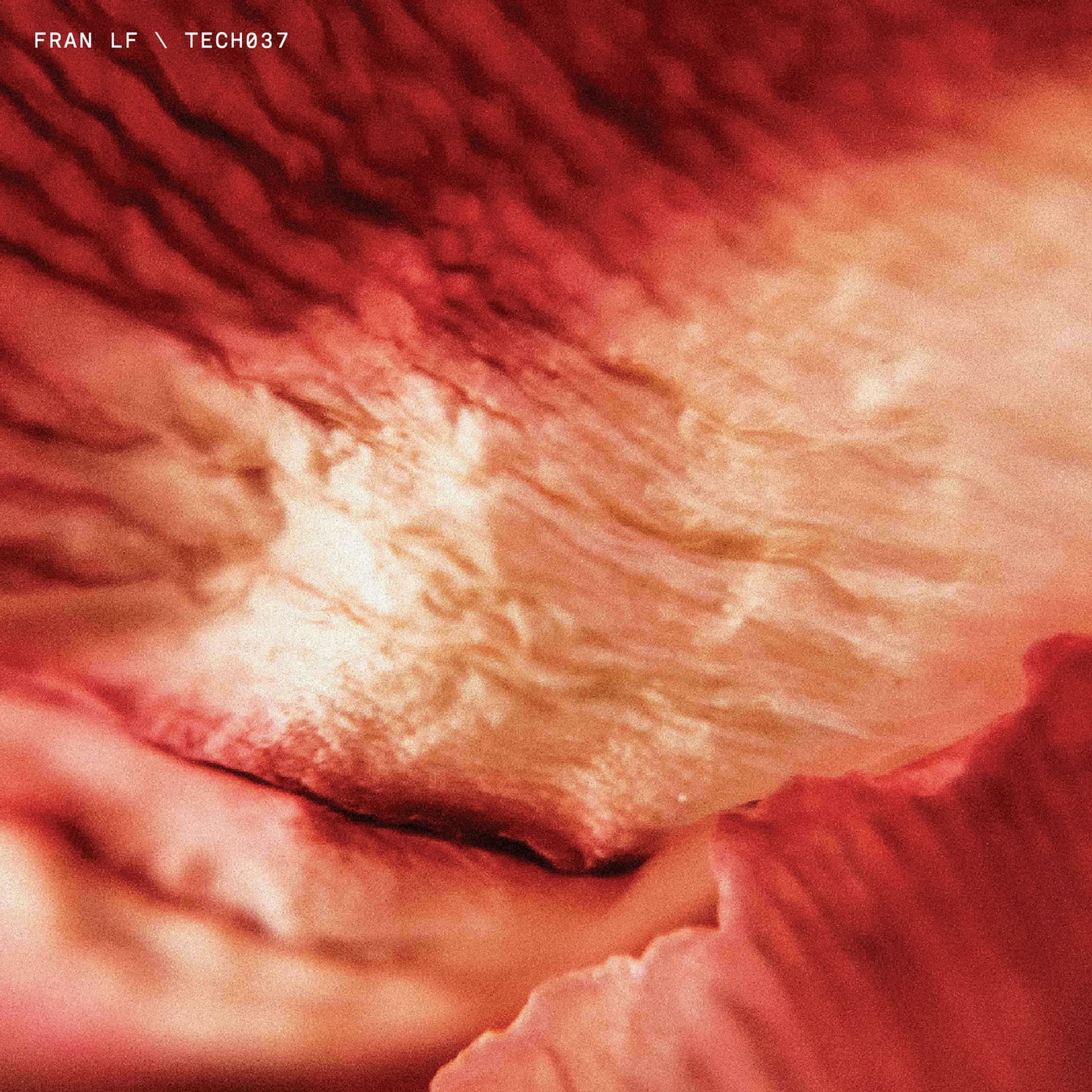 Premiere Fran LF — Hypermassive Energy Beam [TECH037] - HATE Podcasts cover