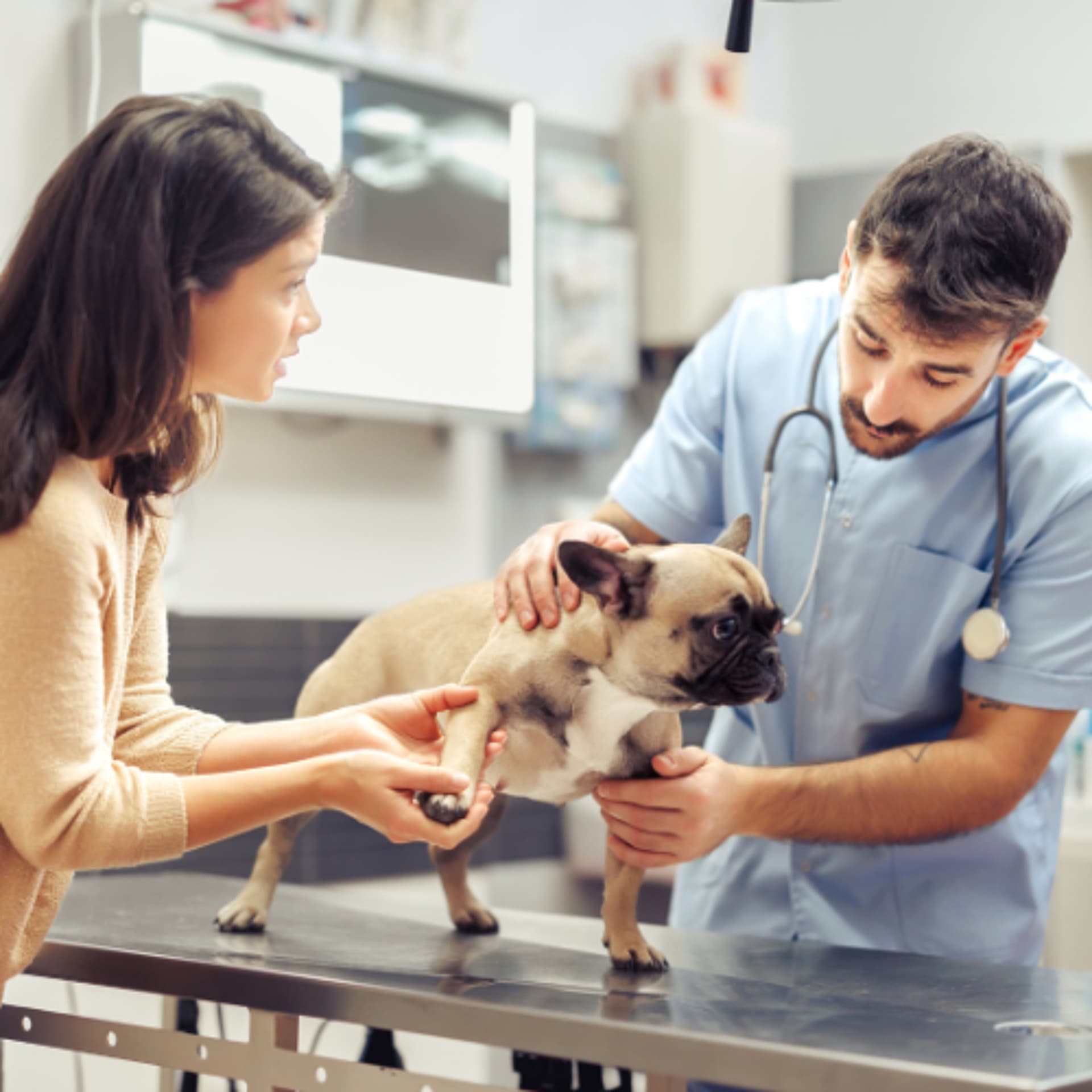 When Every Second Counts: Tips for Managing Emergencies in General Practice - VetFolio Voice cover