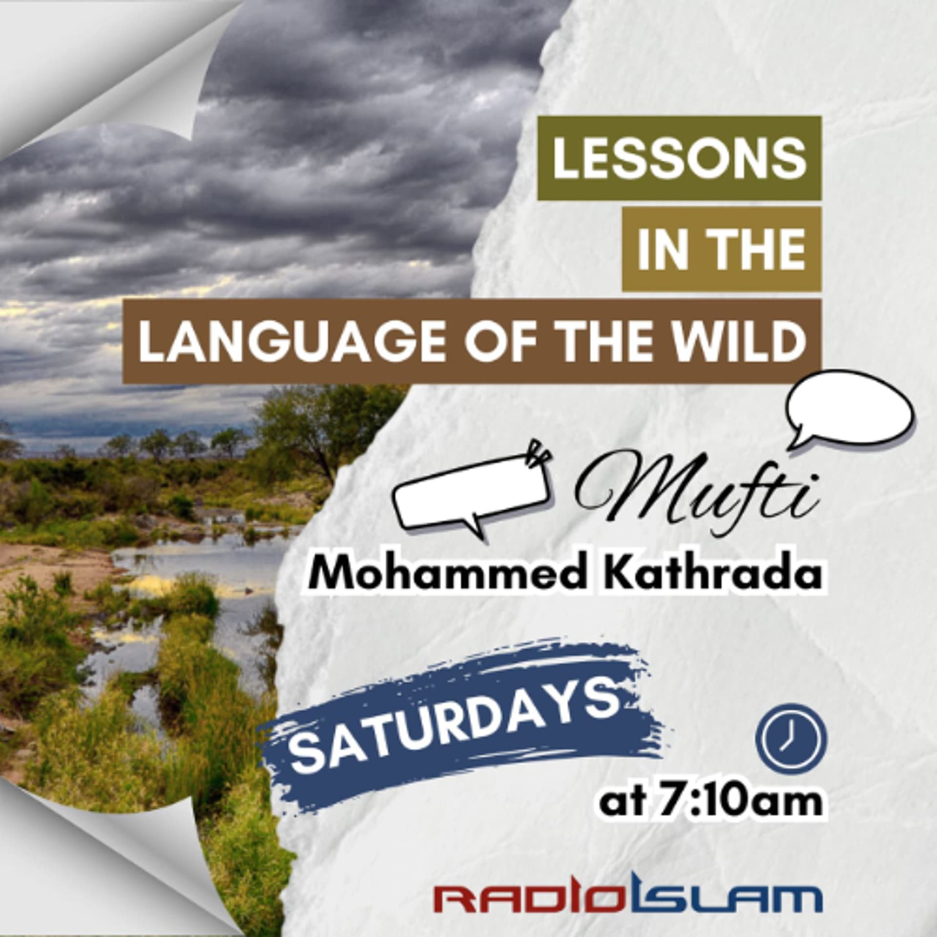 Lessons from the Male Lion - Radio Islam cover