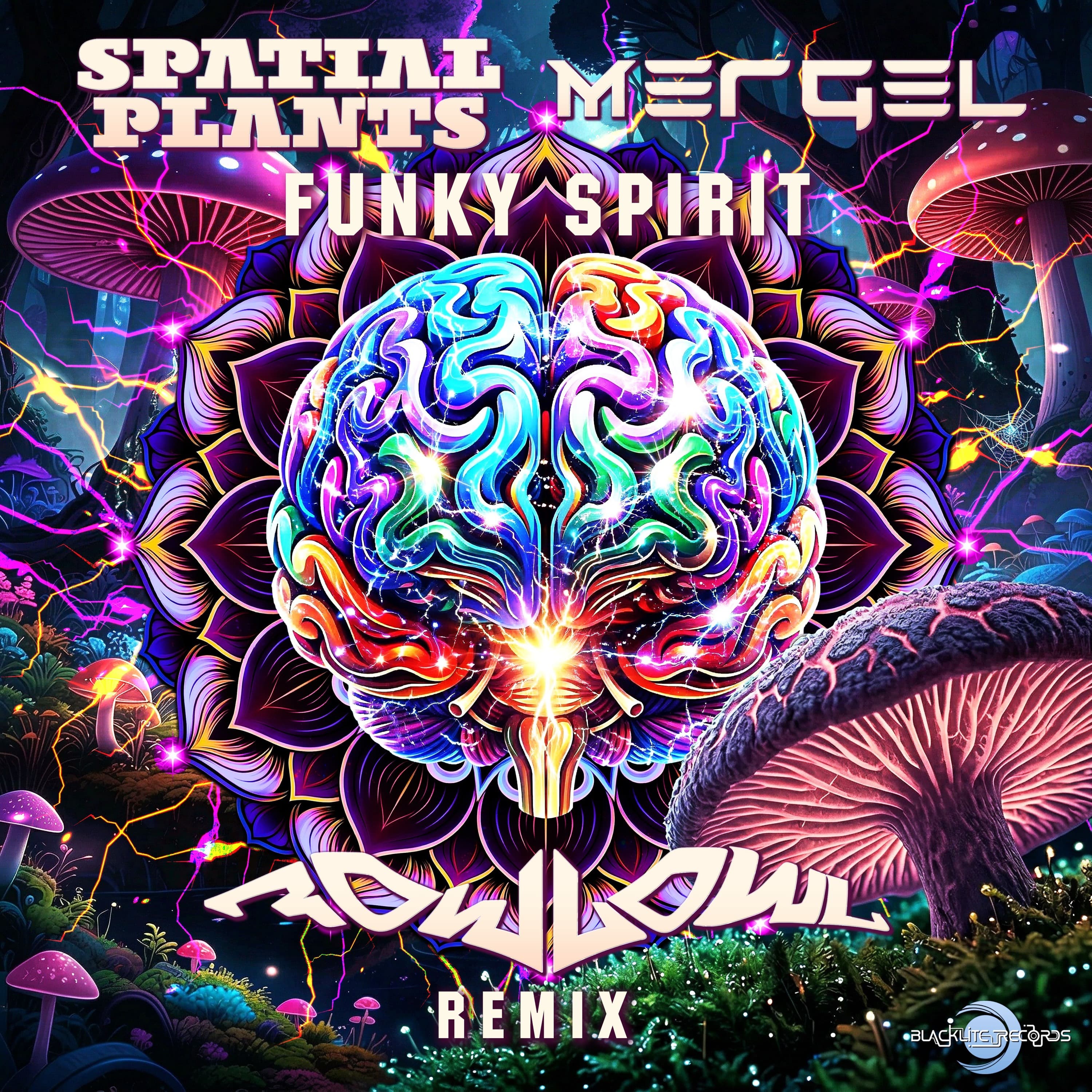 Spatial Plants, Mergel - Funky Spirit  (FowlOwl Remix) - BlackLite Records cover