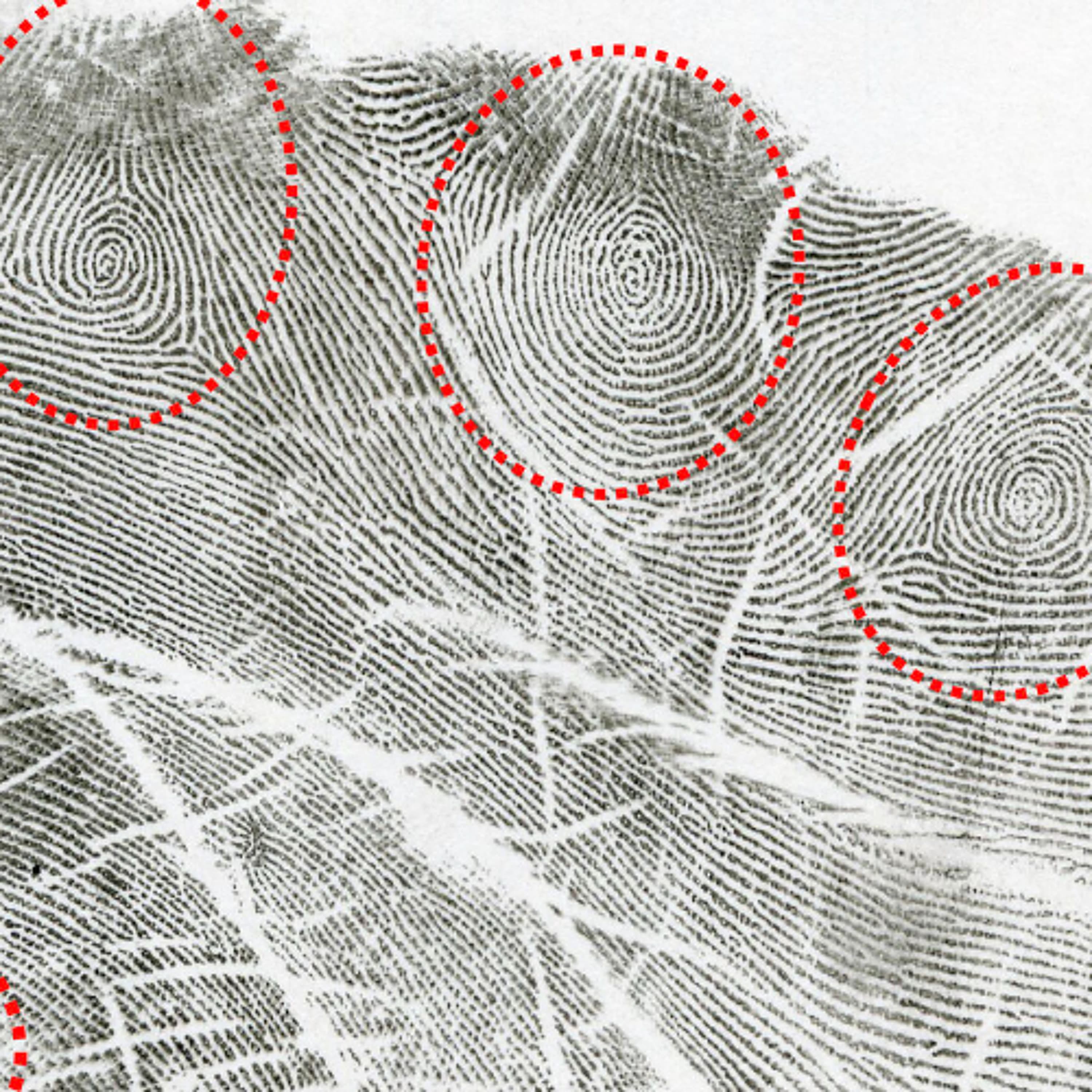 Episode 289 - Angela Tonietto Interview - Palm Patterns - Double Loop Podcast cover