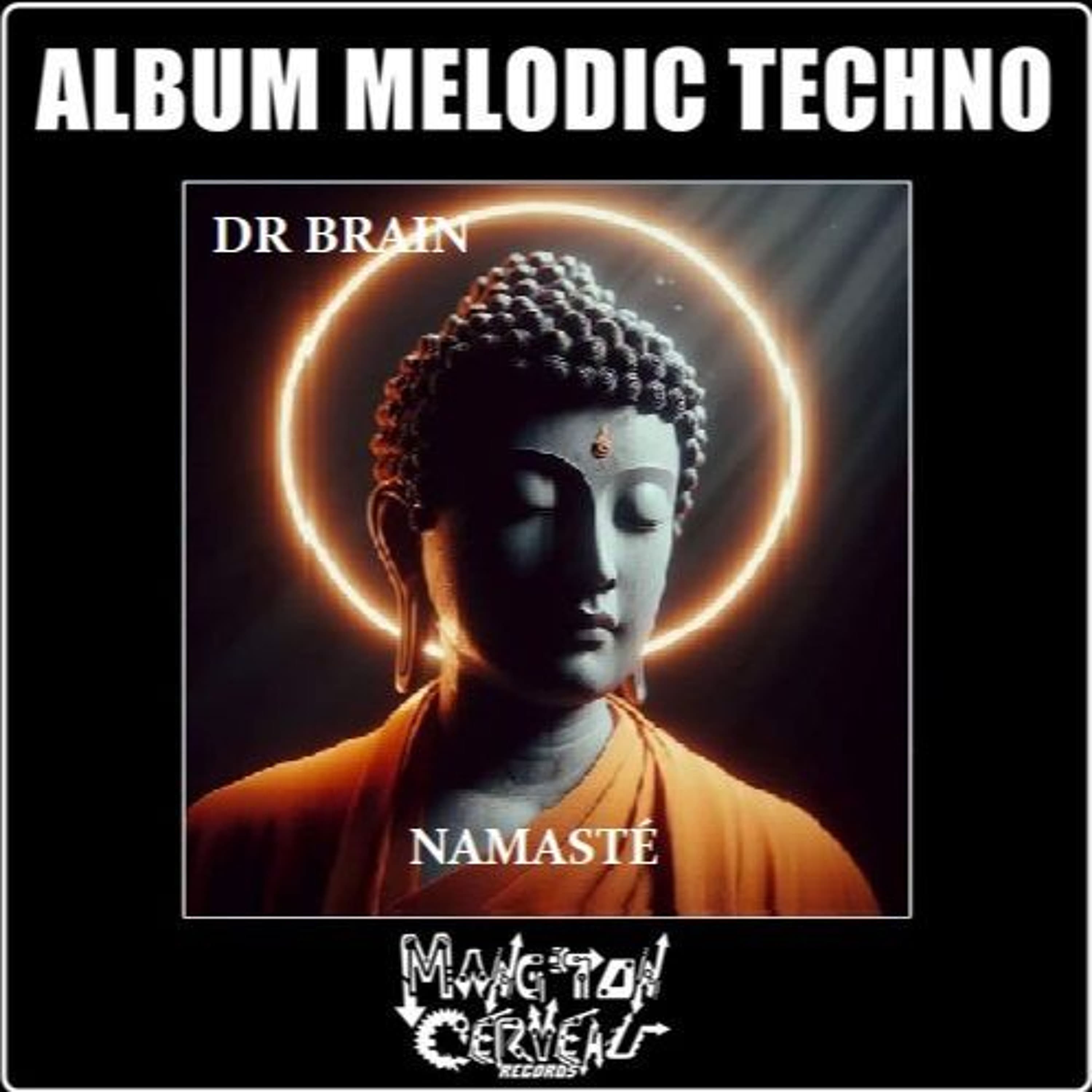 Dr Brain - Namasté (Namasté) MTC Records - Disakortex MTC aka Dr Brain cover