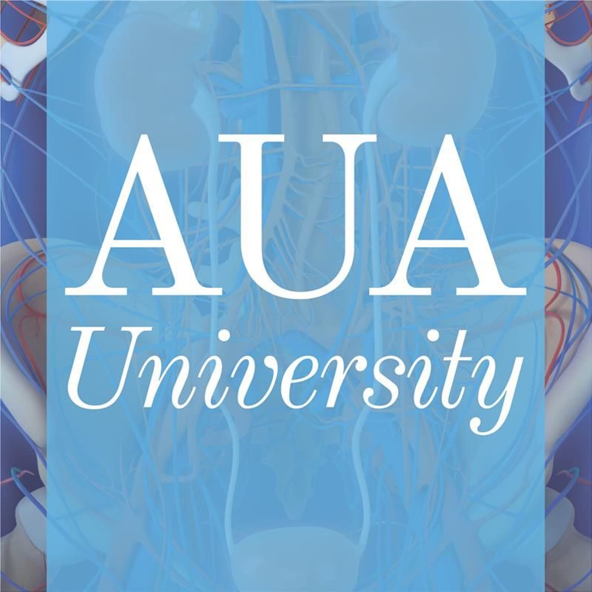 Update Series (2025) Lesson 18: Multidisciplinary Evaluation and Management of Pelvic Pain in Women - AUAUniversity cover
