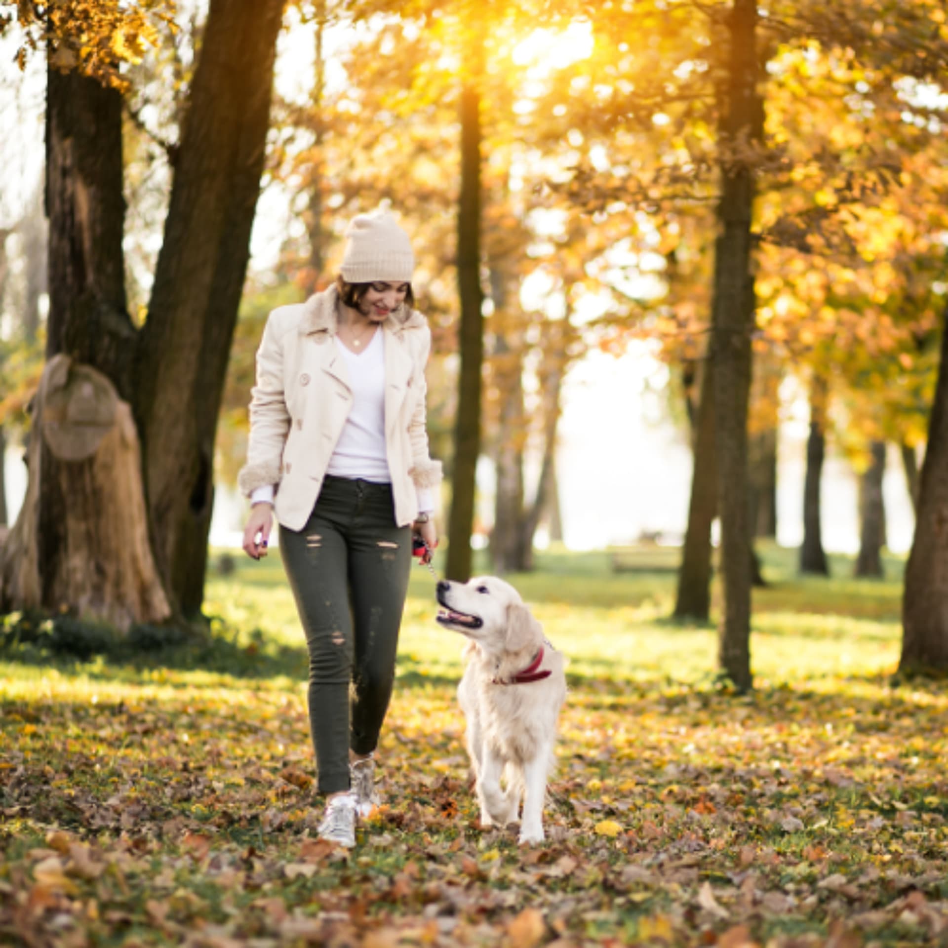 Long-lasting Flea and Tick Protection . . . At Last - VetFolio Voice cover