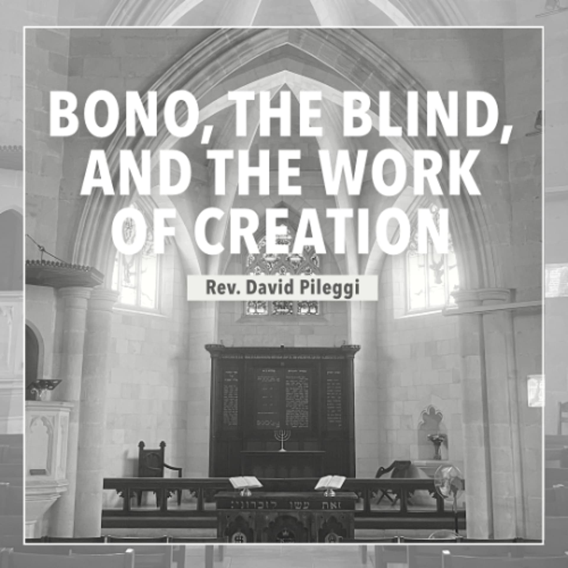 Bono, The Blind, and the Work of Creation - Rev. David Pileggi - Christ Church Jerusalem cover