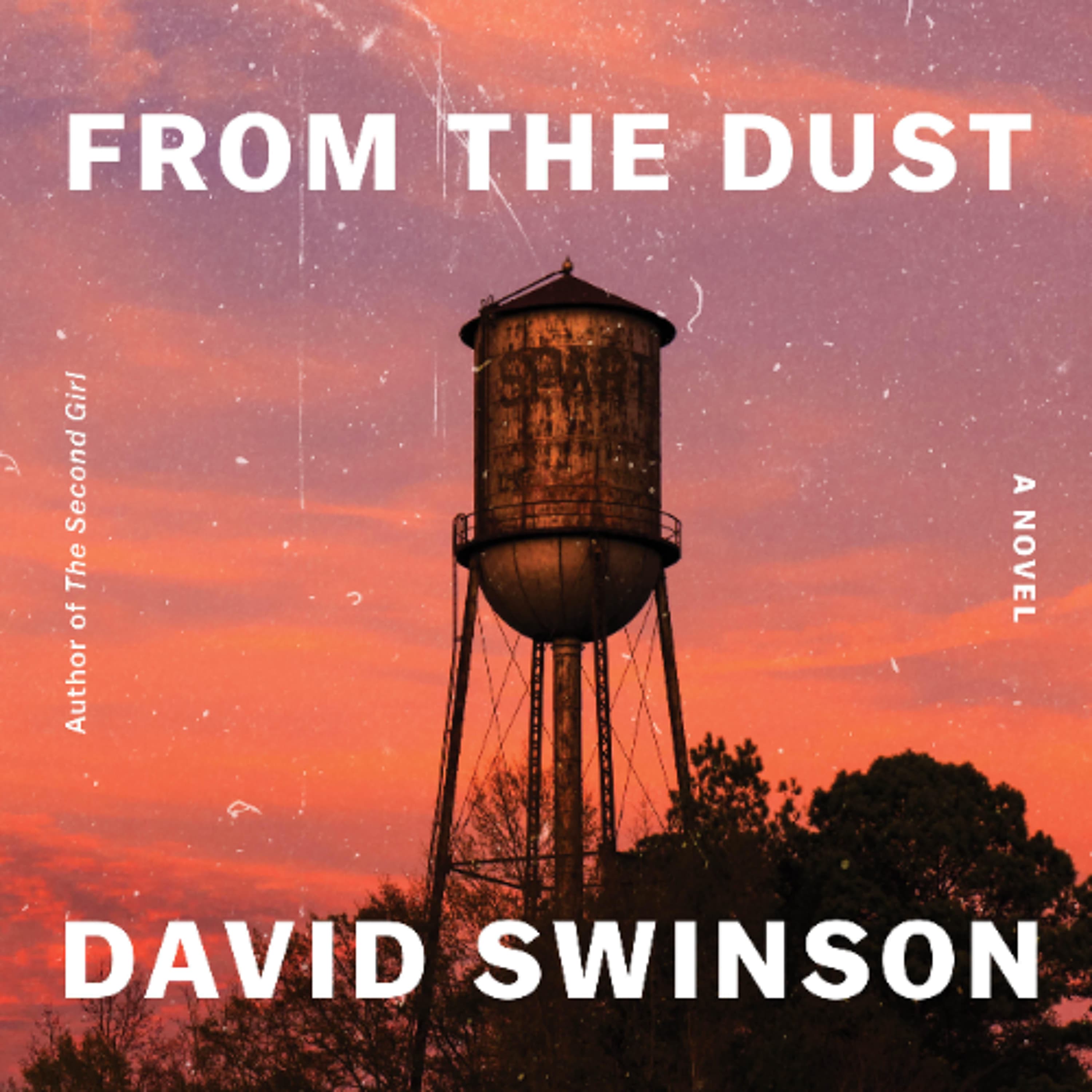 From the Dust by David Swinson Read by Jonathan Davis - Book Friends Forever cover